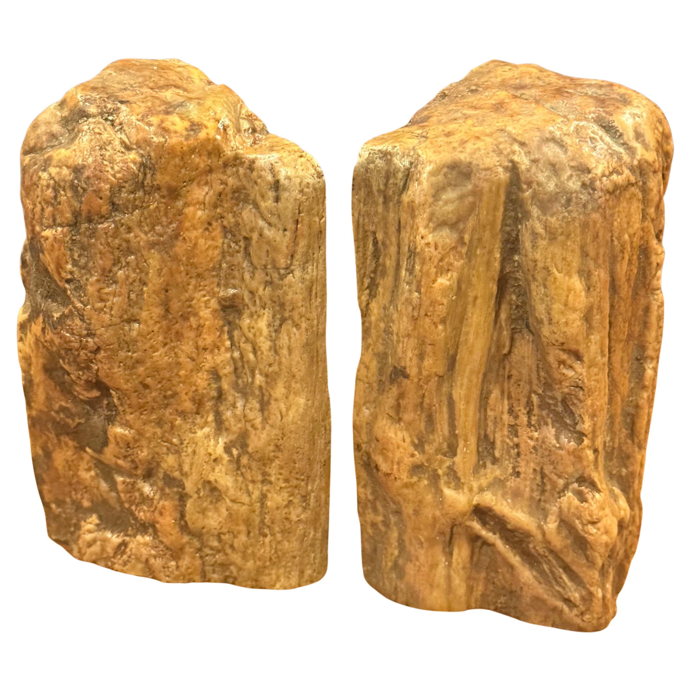Unknown Impressive Pair of Raw Petrified Wood Bookends For Sale