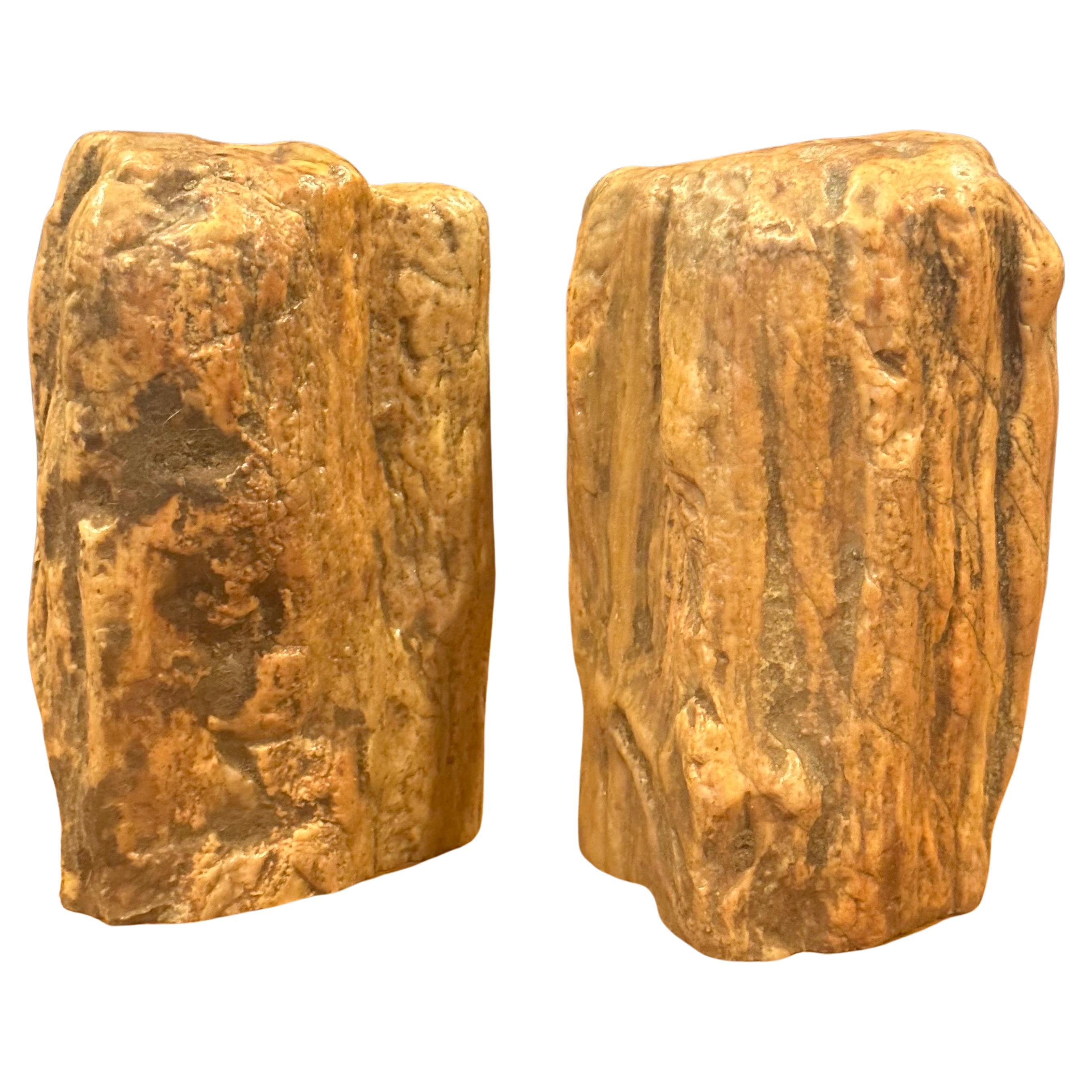 Impressive Pair of Raw Petrified Wood Bookends In Good Condition For Sale In San Diego, CA