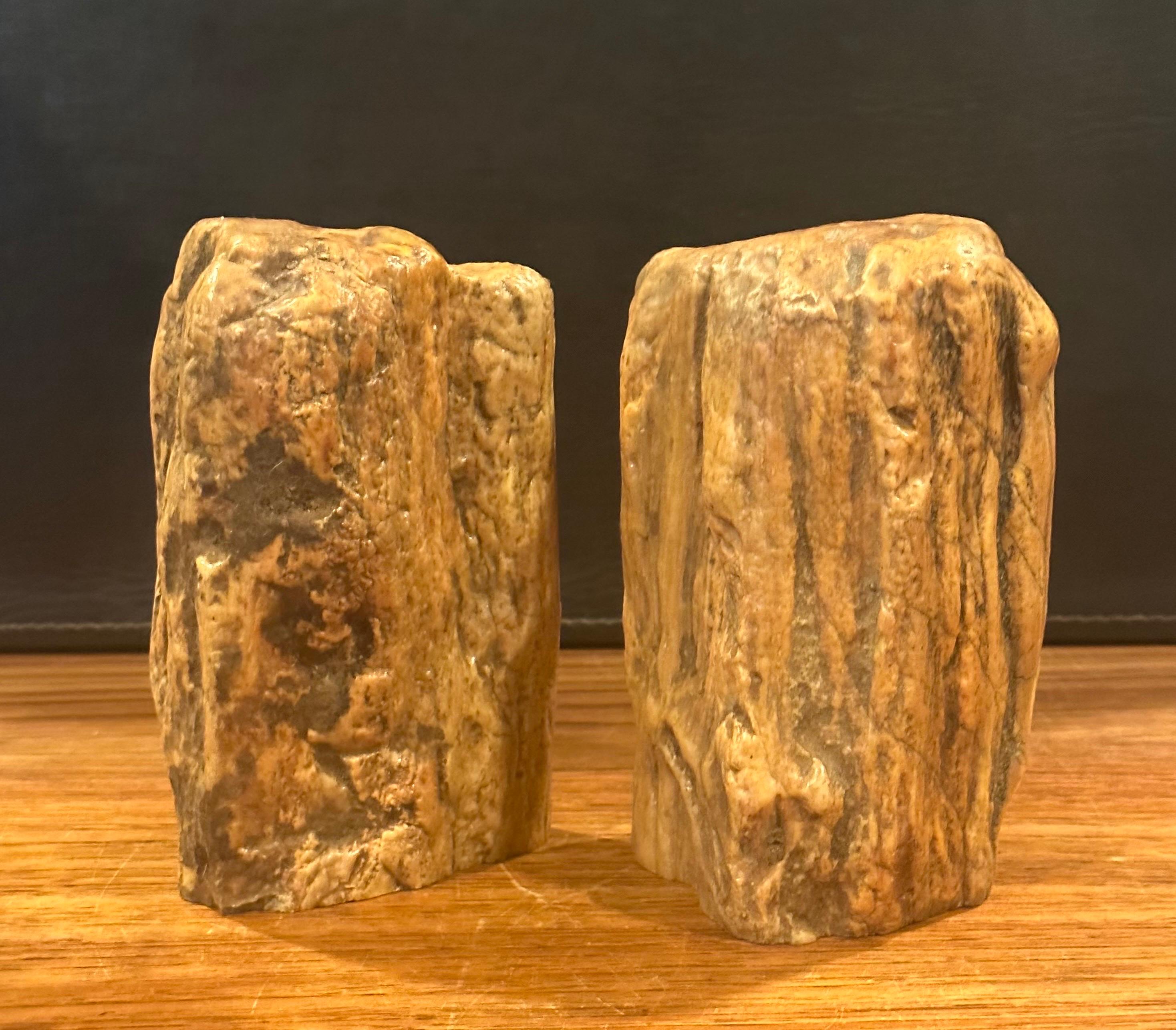 18th Century and Earlier Impressive Pair of Raw Petrified Wood Bookends For Sale