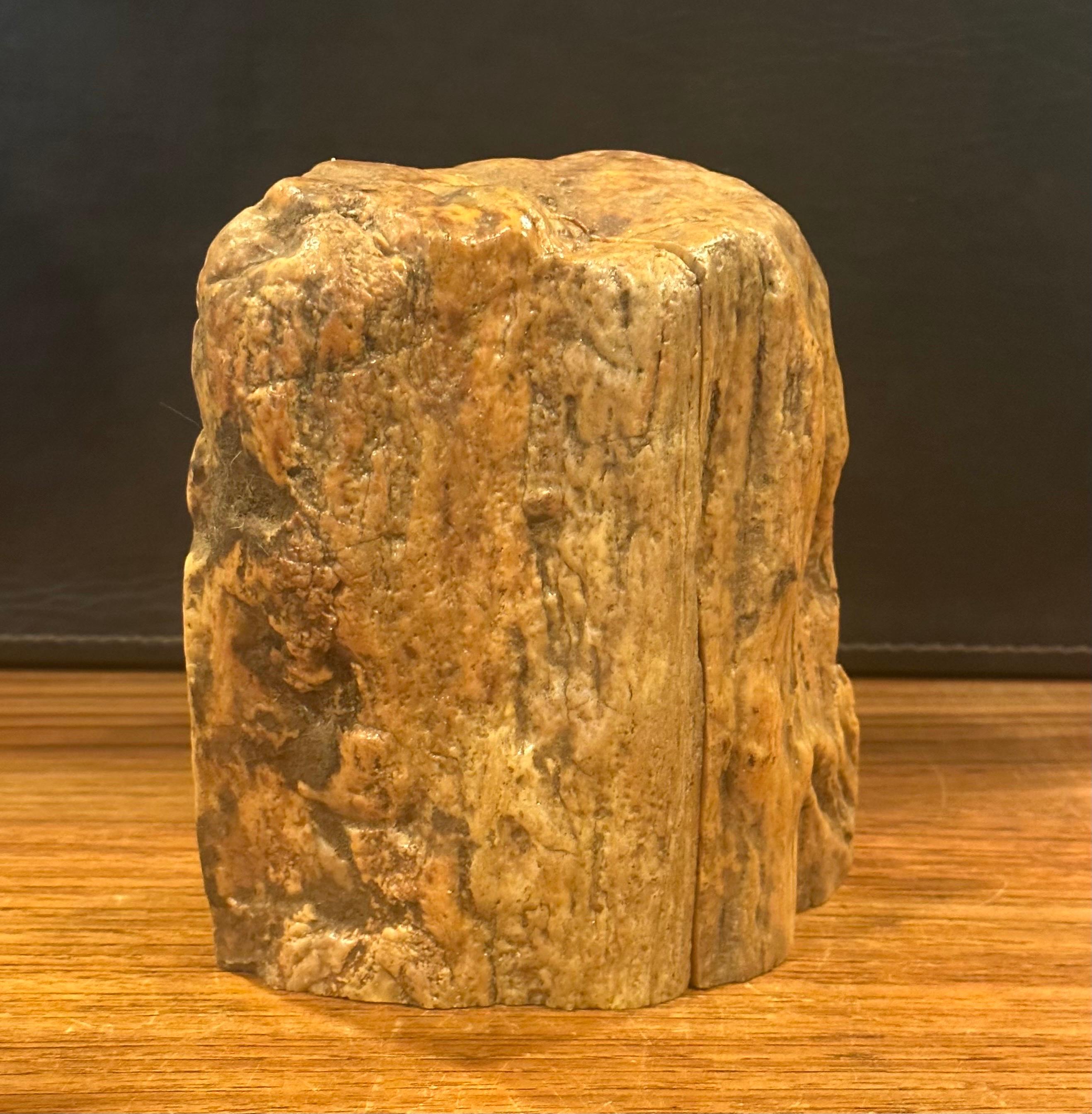 Impressive Pair of Raw Petrified Wood Bookends For Sale 1