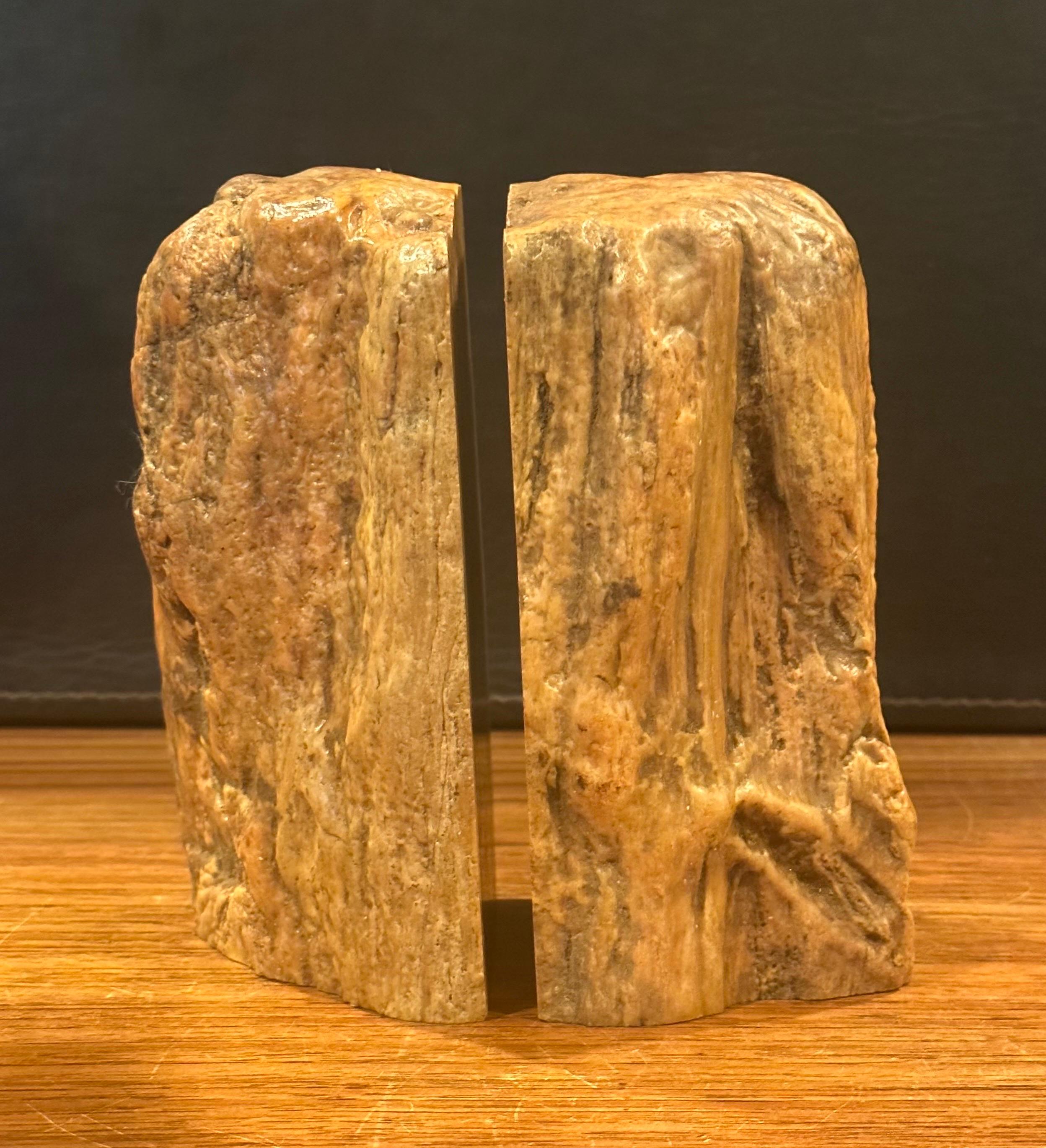 Impressive Pair of Raw Petrified Wood Bookends For Sale 2