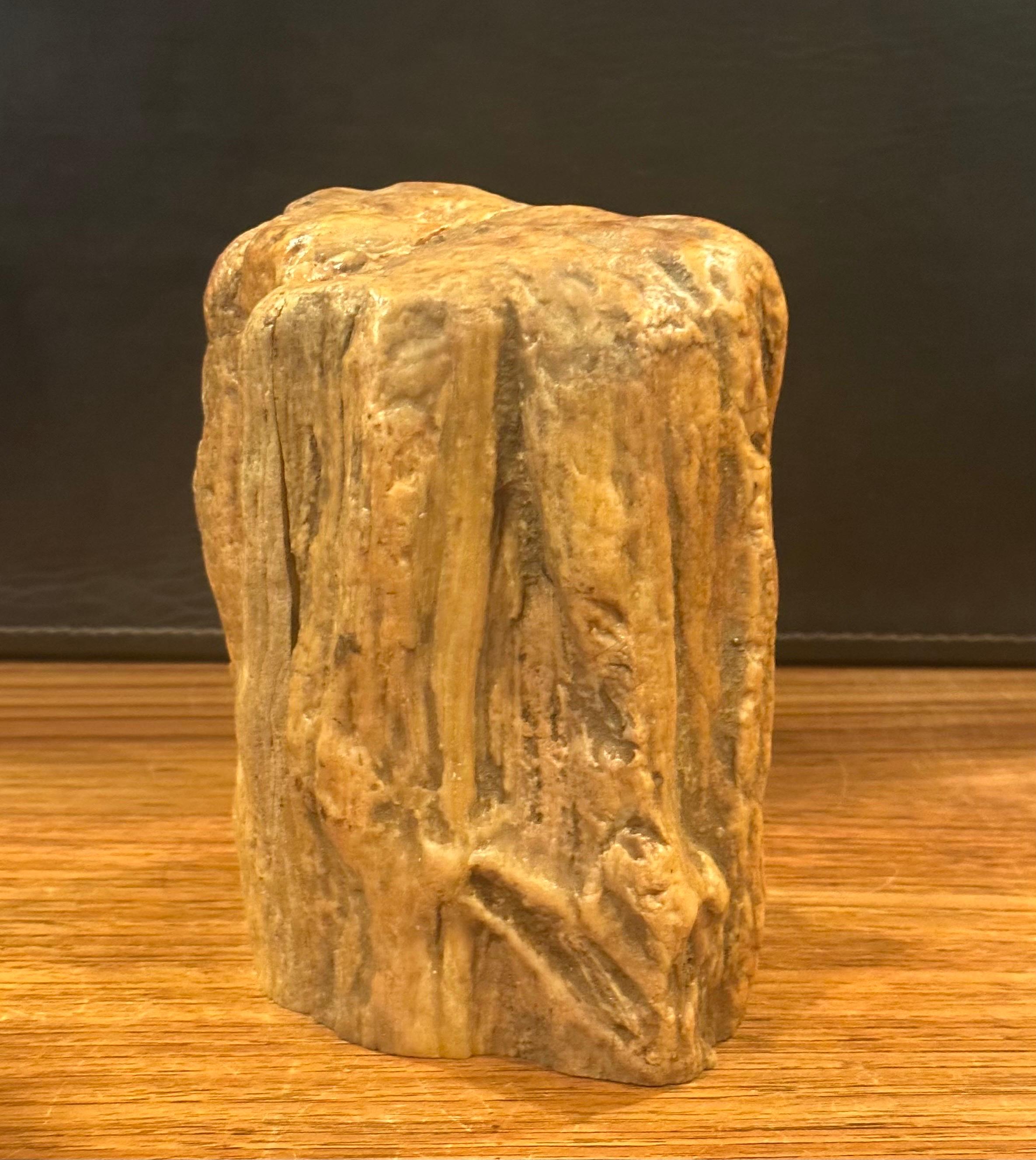 Impressive Pair of Raw Petrified Wood Bookends For Sale 3
