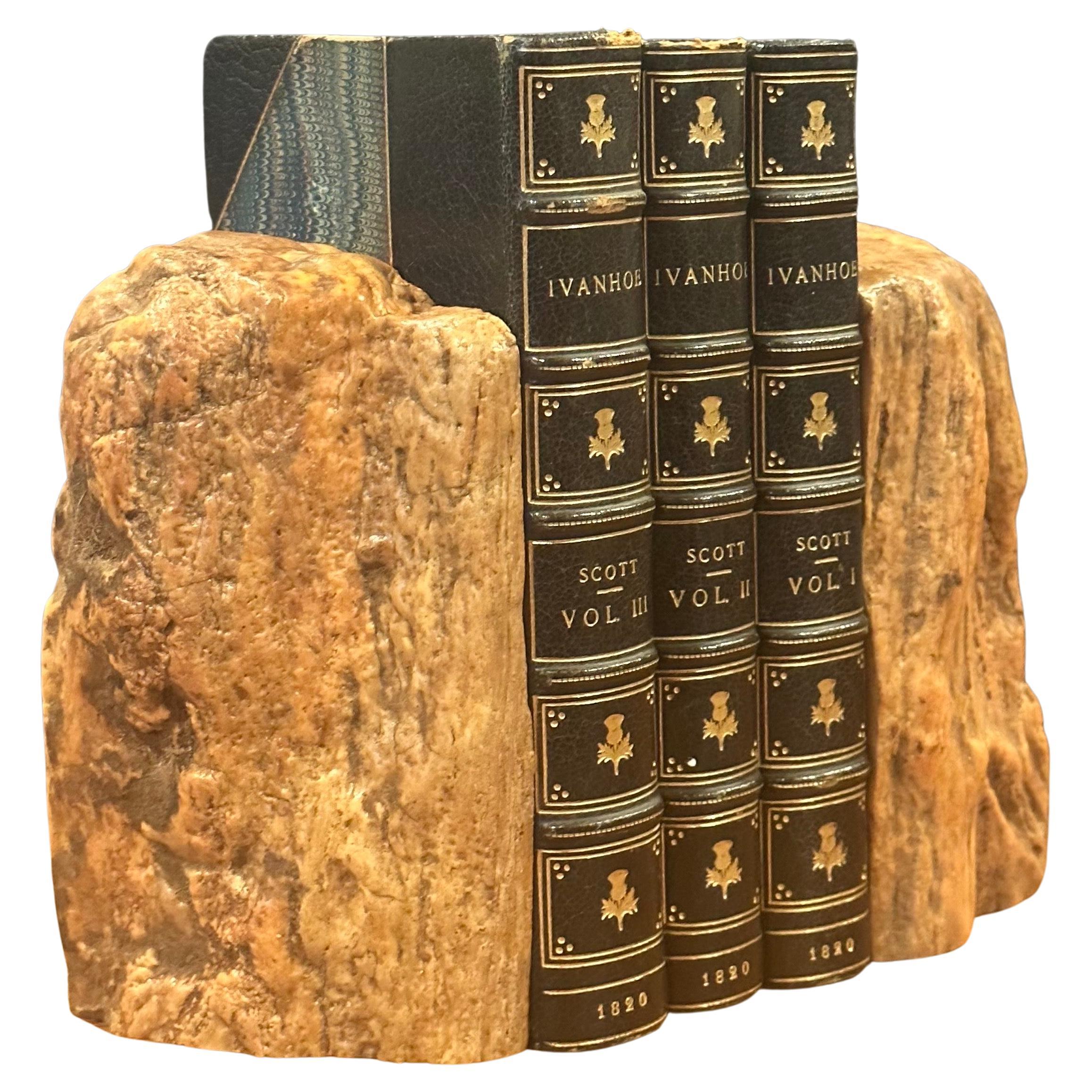 Impressive Pair of Raw Petrified Wood Bookends For Sale