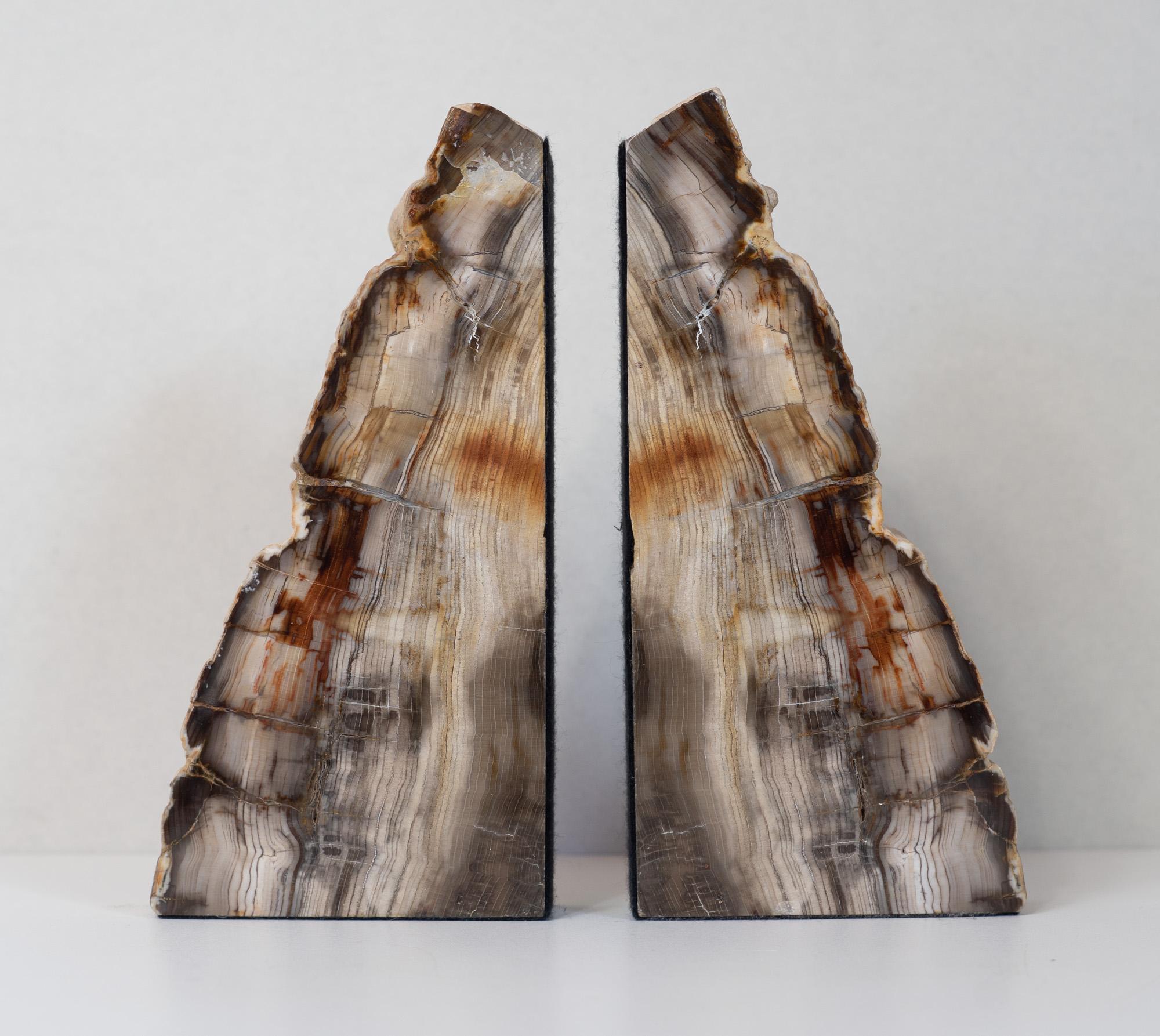 An impressive and unique pair of petrified wood bookends. This material forms under extraodinary circumstances, such as after a volcano eruption, and creates an extraordinary look. These bookends are not treated at all beyond a surface polish on one