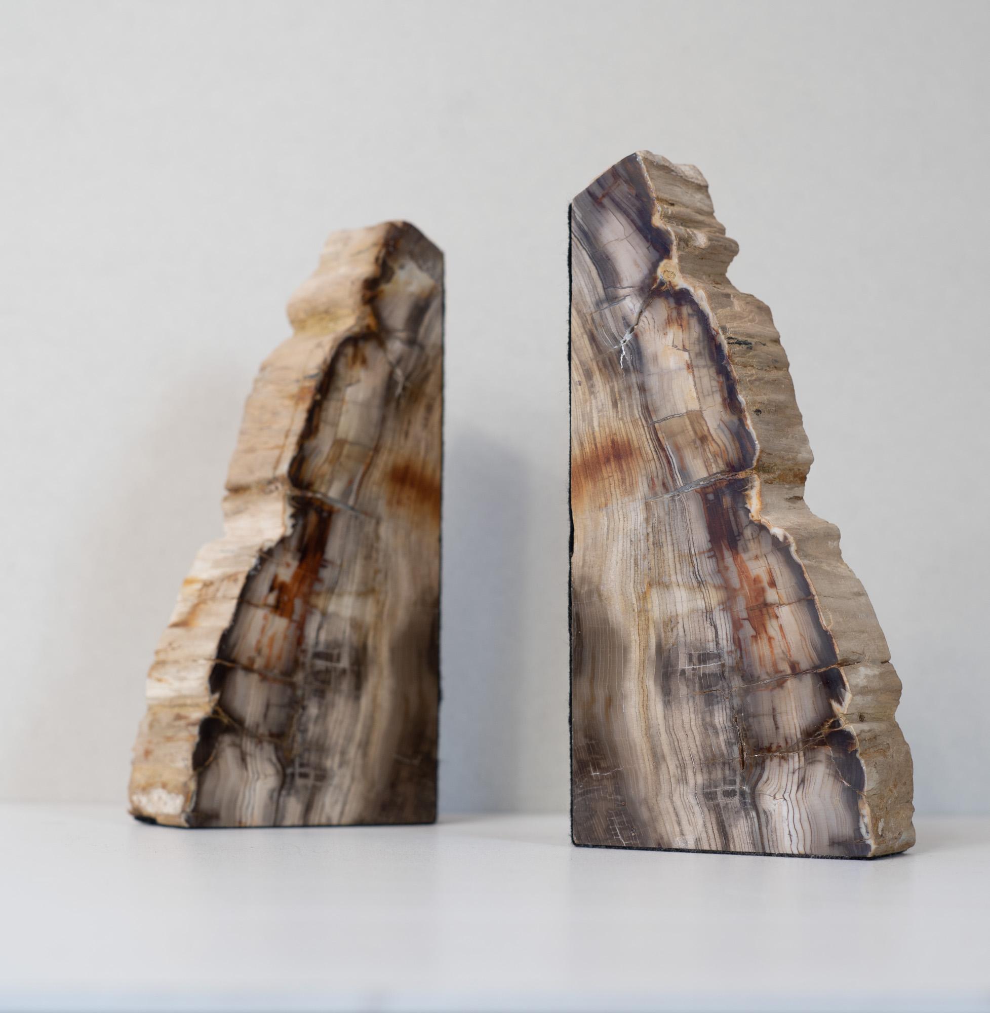 Mid-Century Modern Impressive Pair of Tall Petrified Wood Bookends For Sale