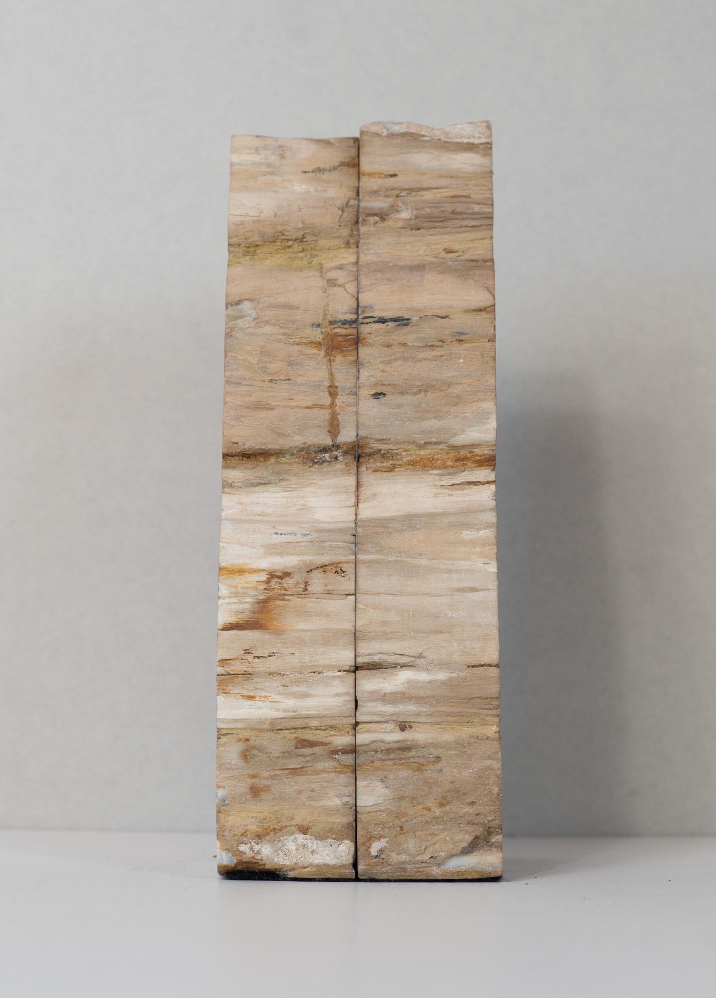American Impressive Pair of Tall Petrified Wood Bookends For Sale