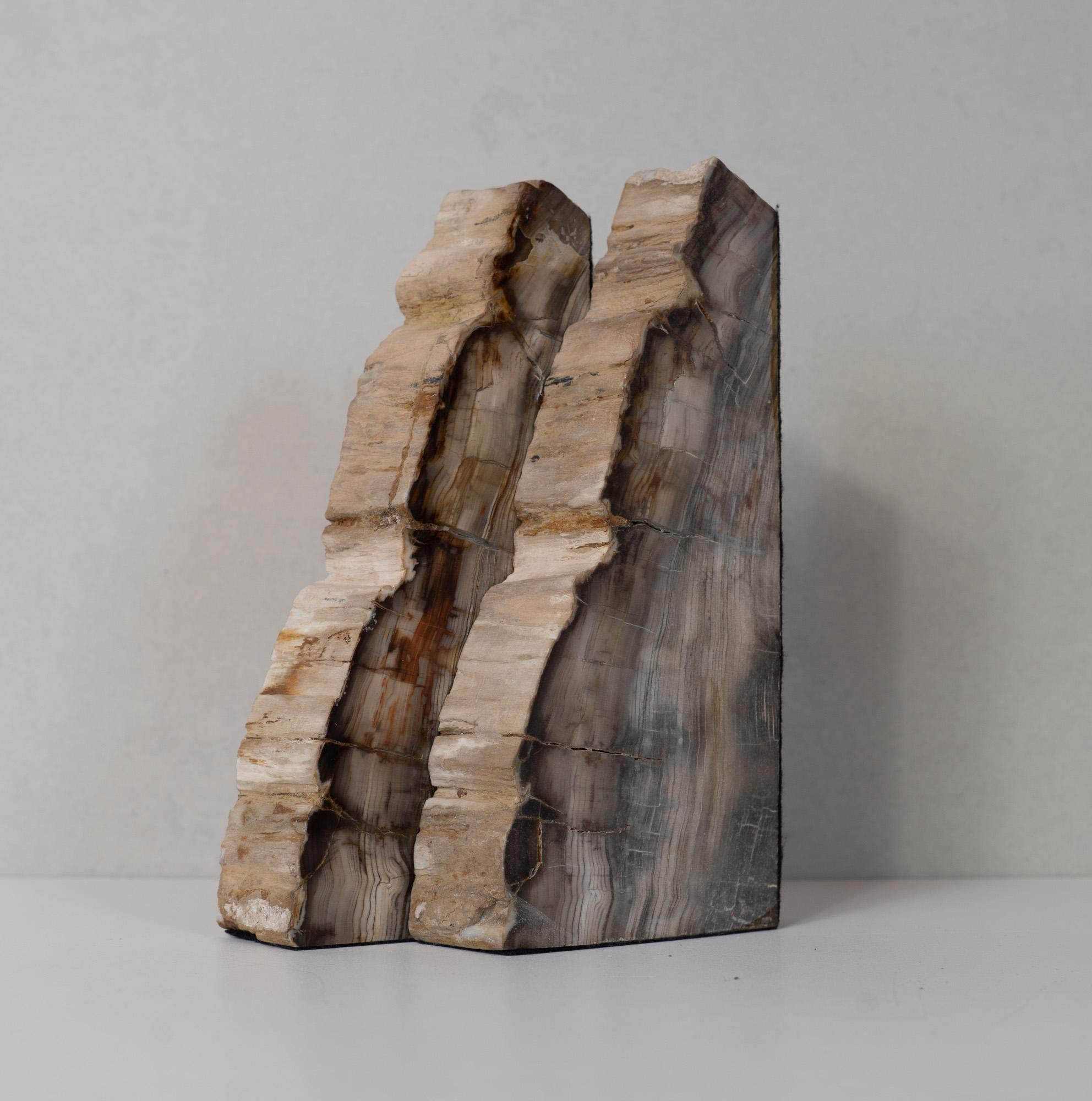 Polished Impressive Pair of Tall Petrified Wood Bookends For Sale