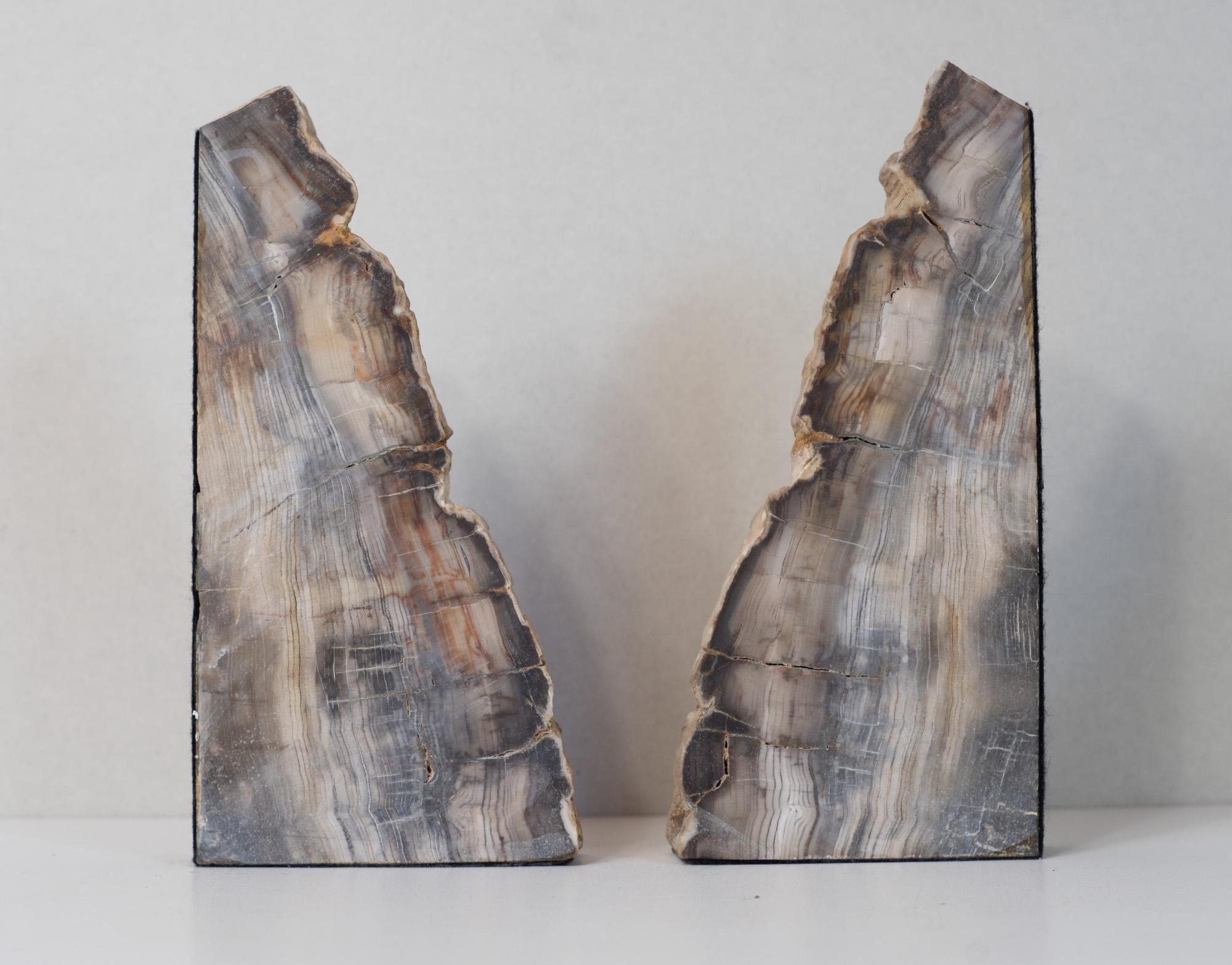 Impressive Pair of Tall Petrified Wood Bookends In Good Condition For Sale In Philadelphia, PA