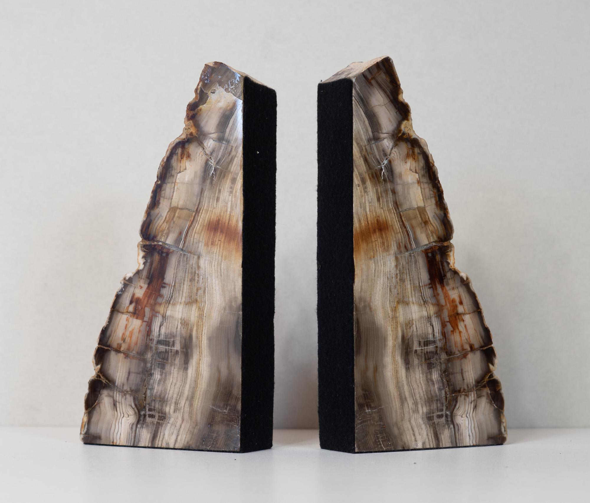 Mid-20th Century Impressive Pair of Tall Petrified Wood Bookends For Sale