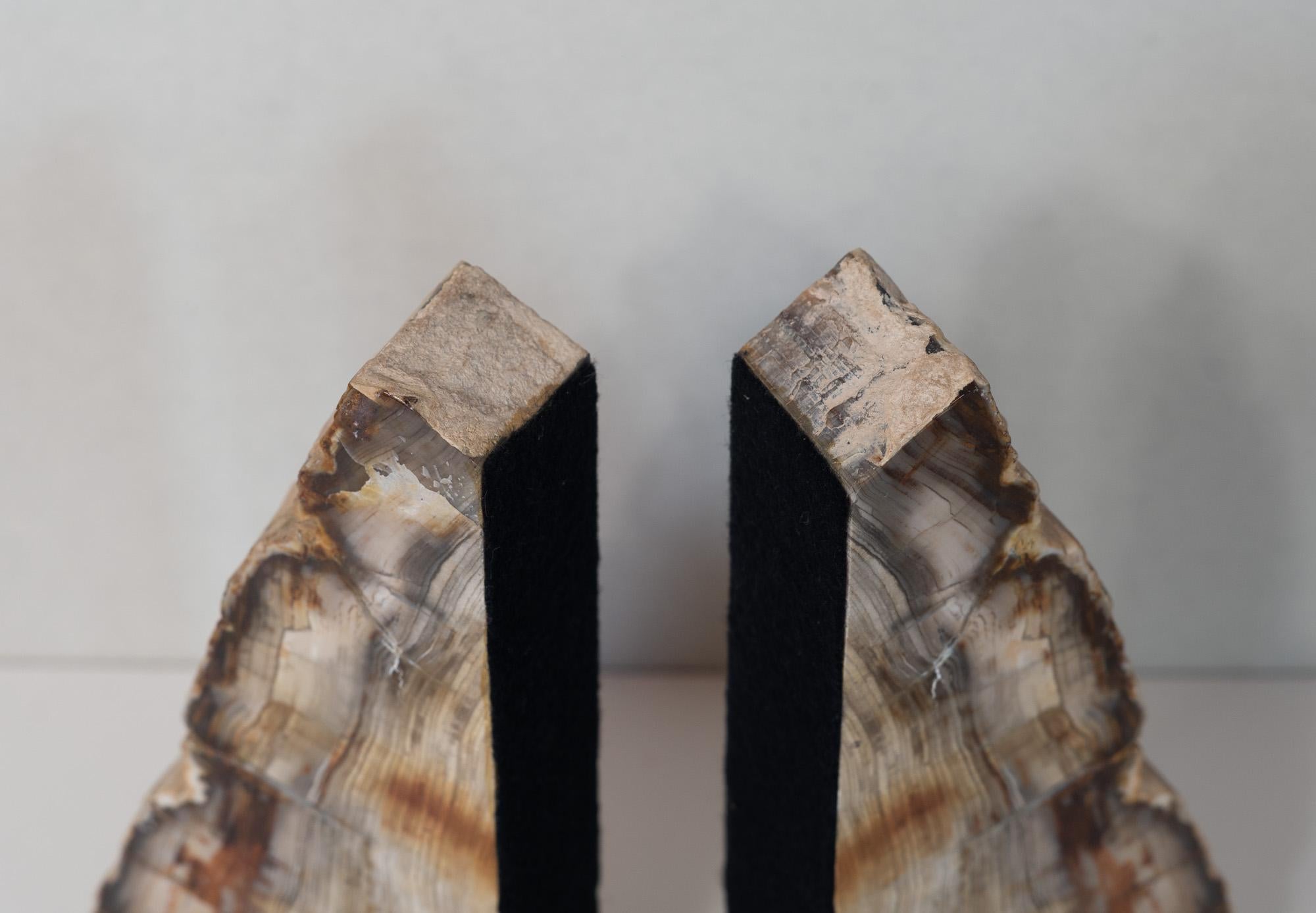 Felt Impressive Pair of Tall Petrified Wood Bookends For Sale