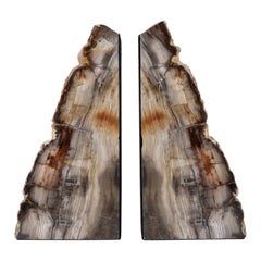 Impressive Pair of Tall Petrified Wood Bookends