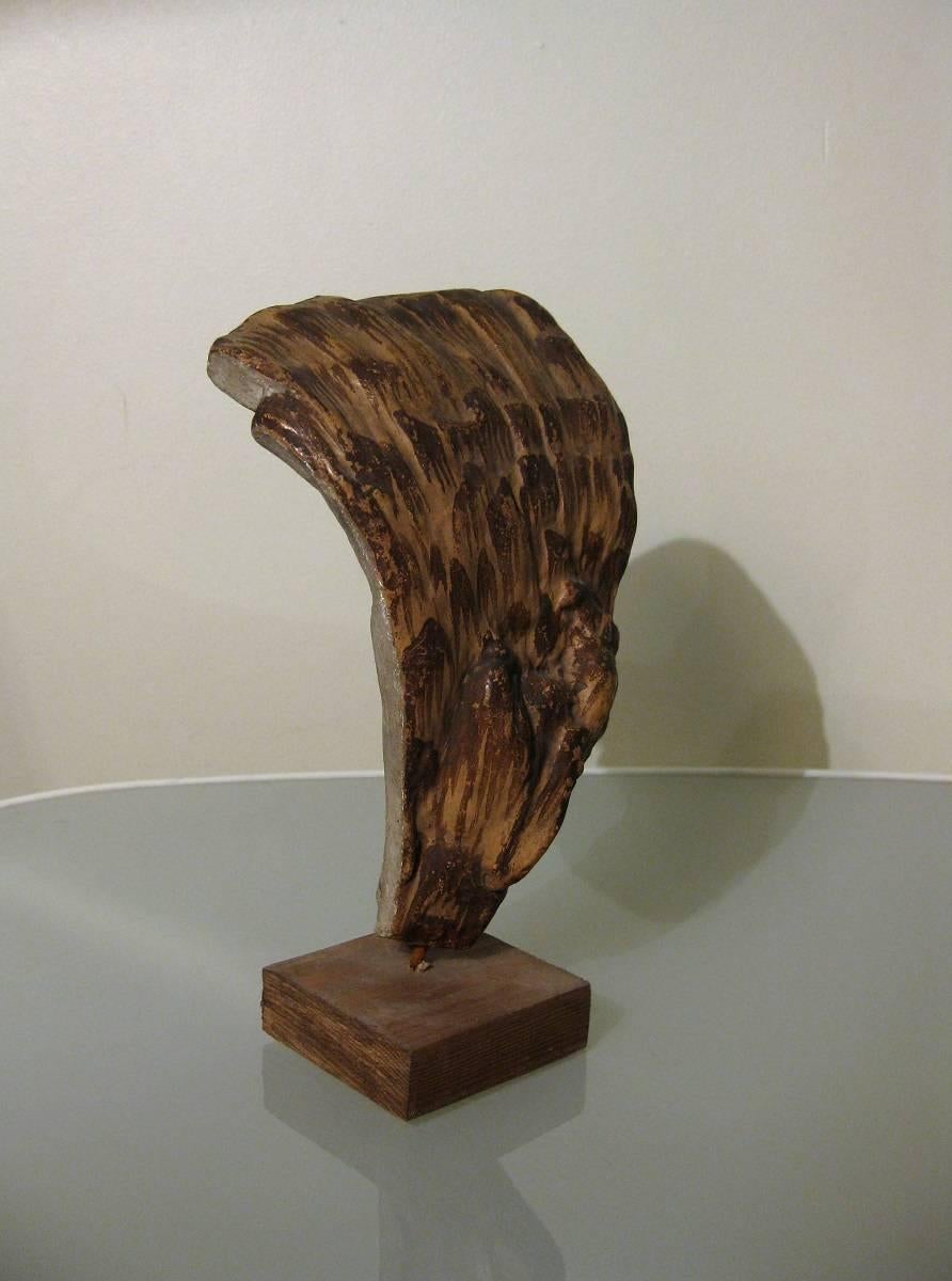 A very fine and large example (17cm height) of a rare papier model of a mushroom, more exactly a “polyporus frondosus” ei a Grifola frondosa, which a specie of polypore mushrooms.
The model is perfectly preserved with no damage and no
