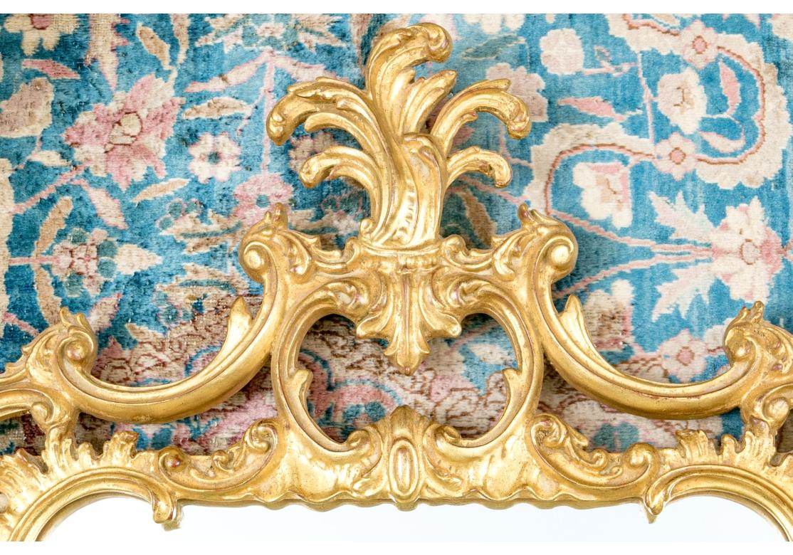 Moulage Impressionnant miroir de style rococo dans un cadre orné de dorures en vente
