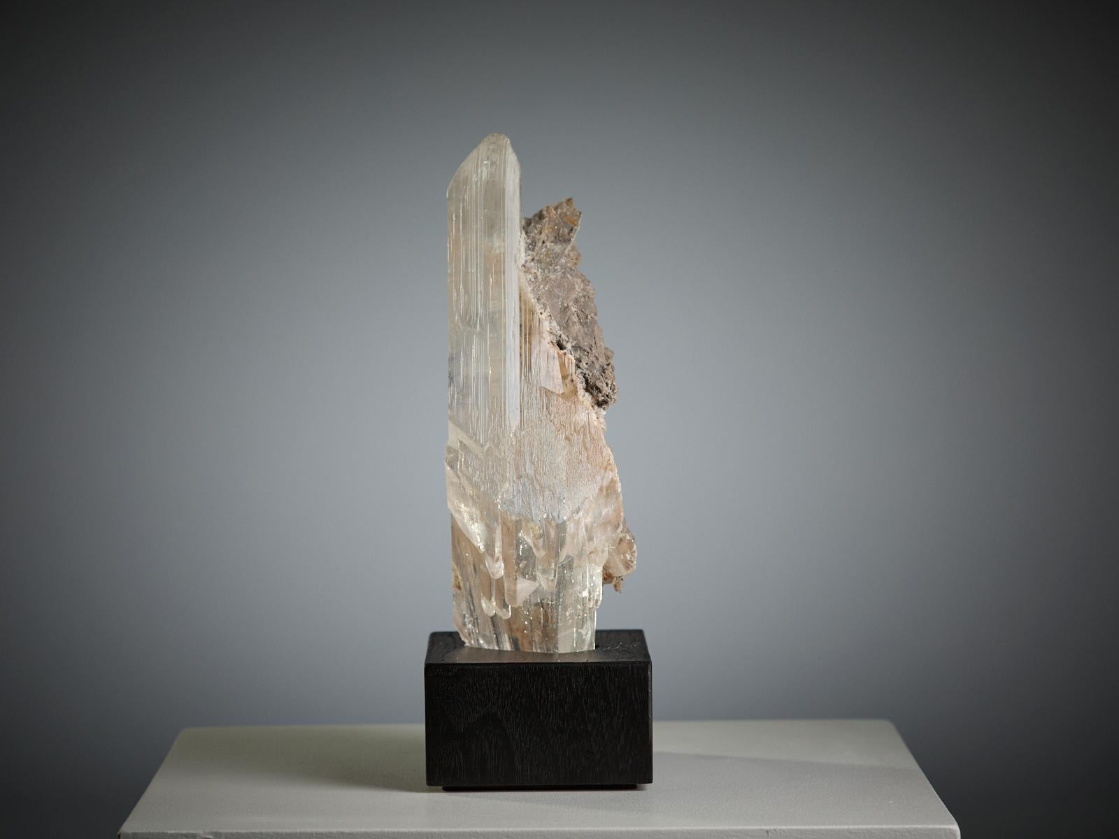 An impressive large crystal of selenite from the Mica Mine in Chihuahua, Mexico, beautifully transparent and resting on its natural matrix. The surface has a soft, glassy lustre that enhances the purity and clarity of the mineral.

The selenite is