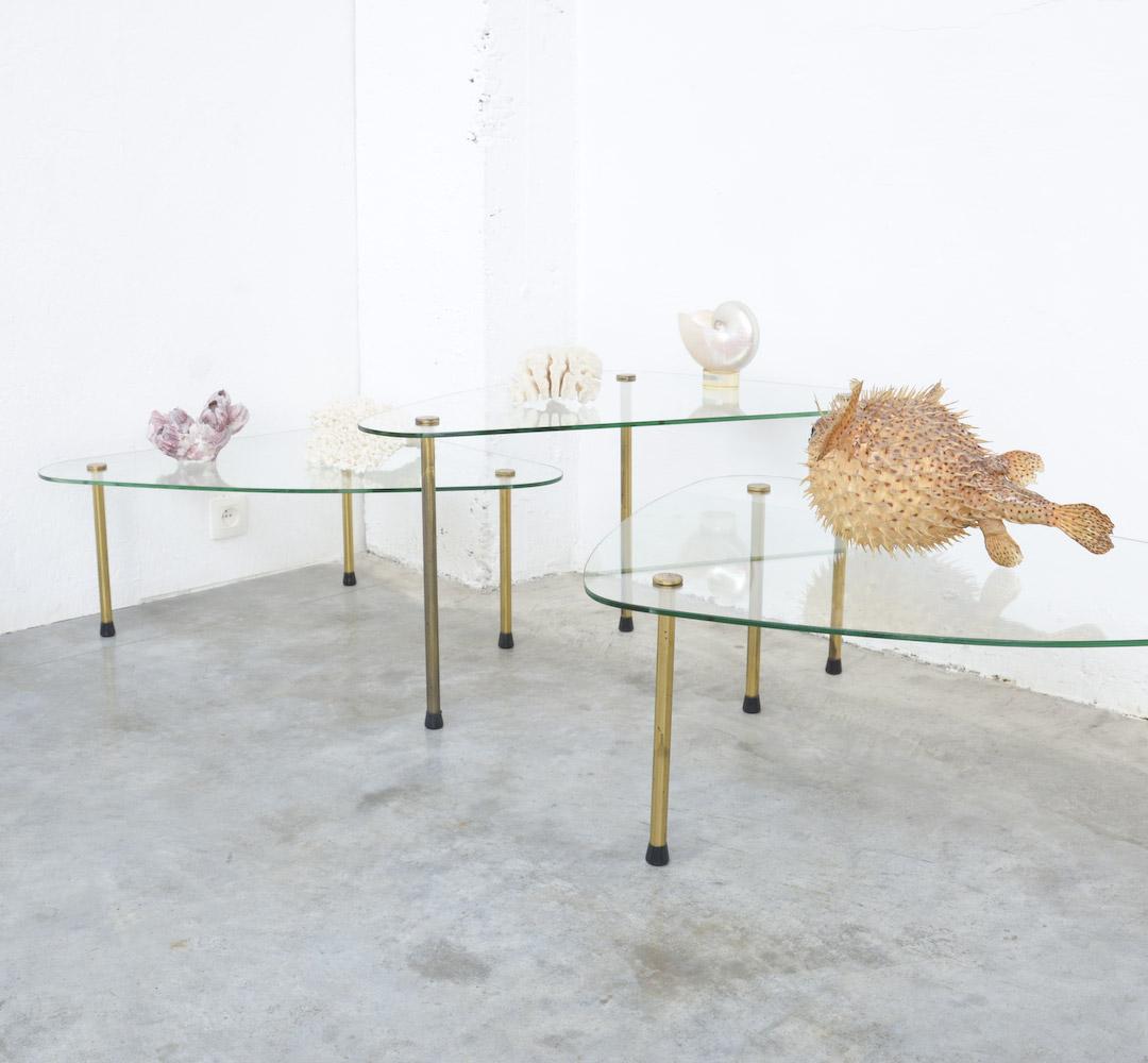 Brass Impressive Set of Glass Side Tables by Etal Pratique, 1950s