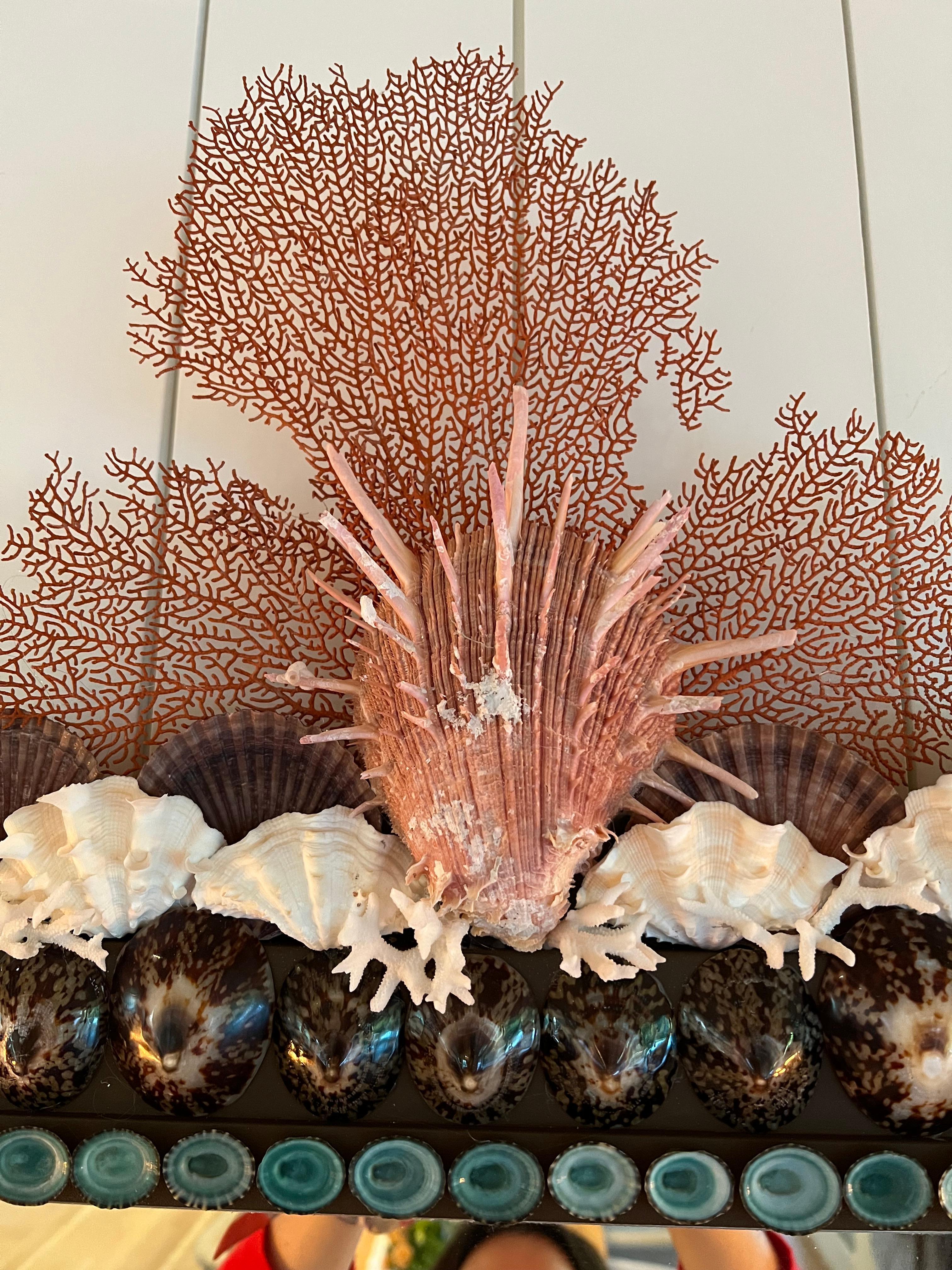 Impressive shell mirror with rows of scallops, tortoise and turquoise limpets. In New Condition For Sale In Sullivans Island, SC