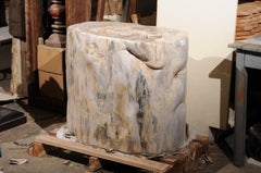 A Large-Sized Petrified Wood Pedestal Base, Beautiful Base for Glass Top Table!