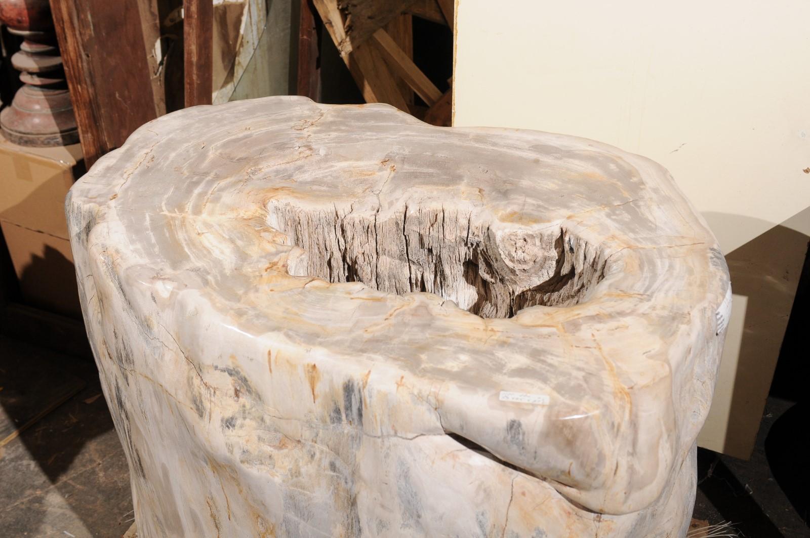 Polished A Large-Sized Petrified Wood Pedestal Base, Beautiful Base for Glass Top Table! For Sale