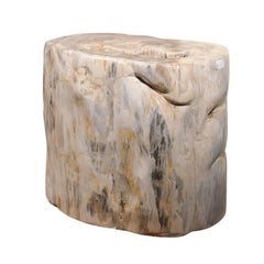 Antique A Large-Sized Petrified Wood Pedestal Base, Beautiful Base for Glass Top Table!