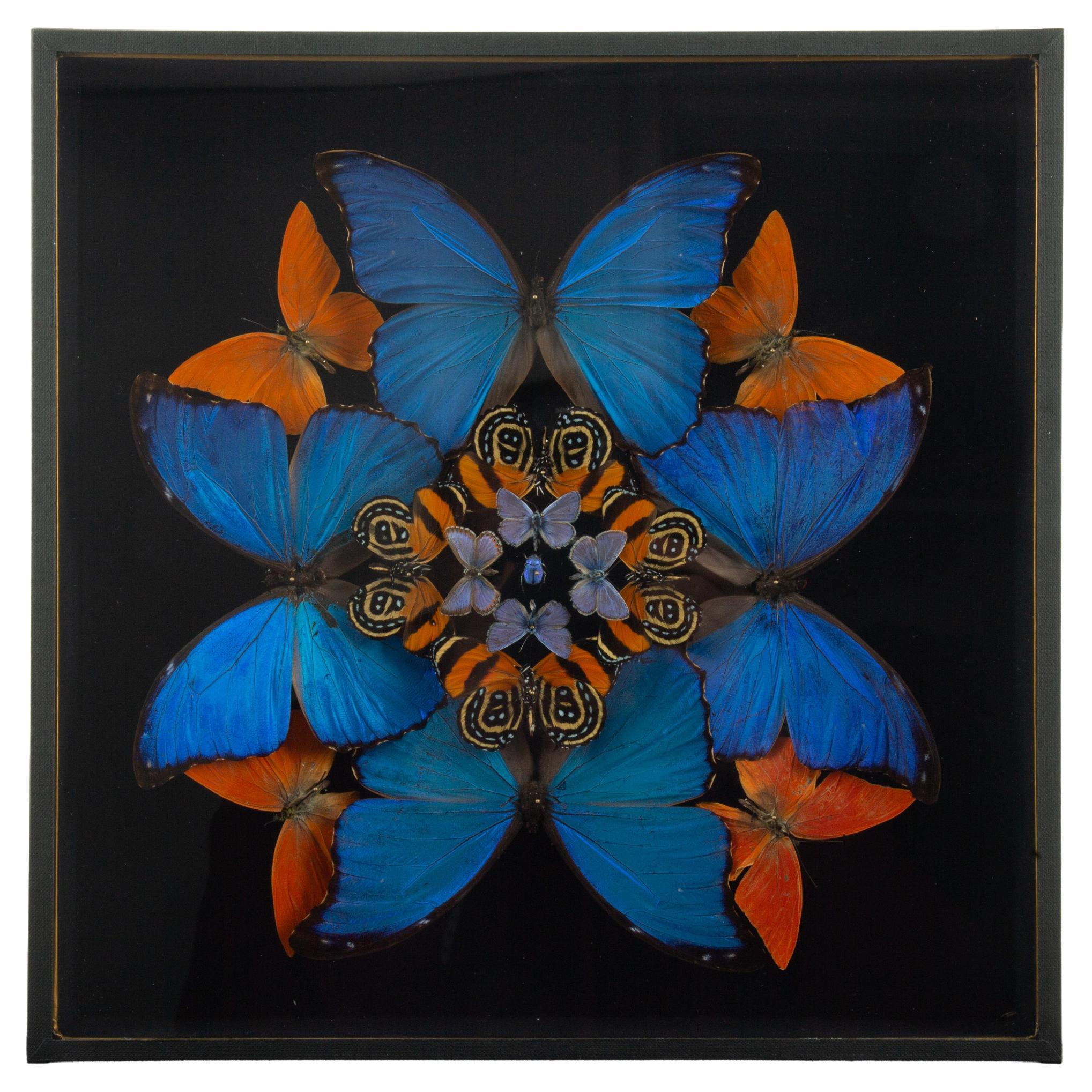 In Bloom: Entomological Composition by Hasharat For Sale