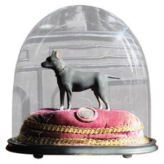 'In Memory of Jacko" the Champion Ratter circa 1850 Taxidermy Dog Interest