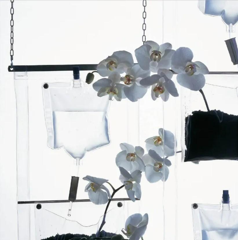 XXI secolo e contemporaneo In stock Erbale Design Accessori PVC Trasparente by Driade in vendita