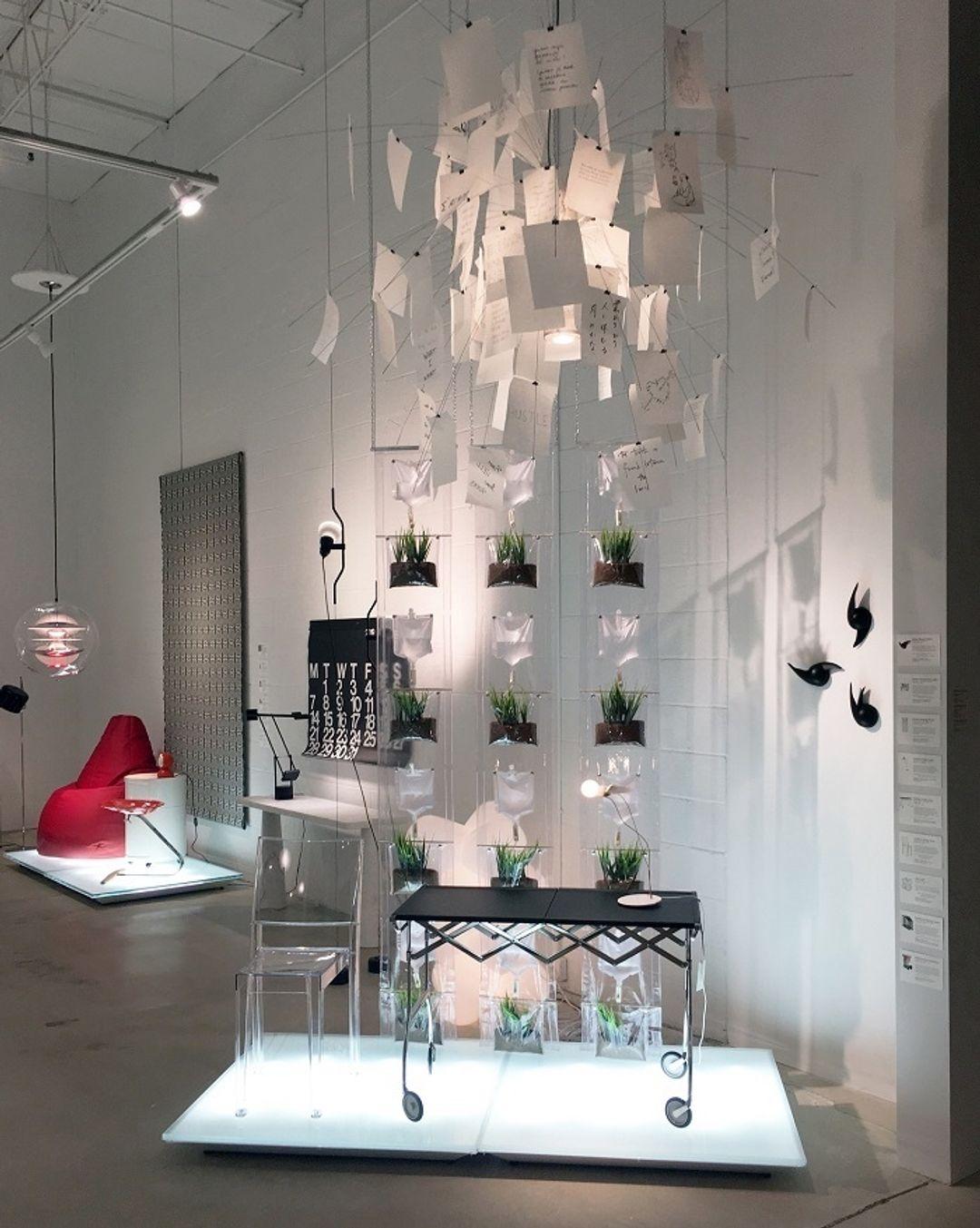 In stock Erbale Design Accessori PVC Trasparente by Driade in vendita 3