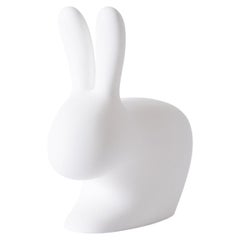 In Stock in Los Angeles, Baby Rabbit Chair LED Lamp by Stefano Giovannoni