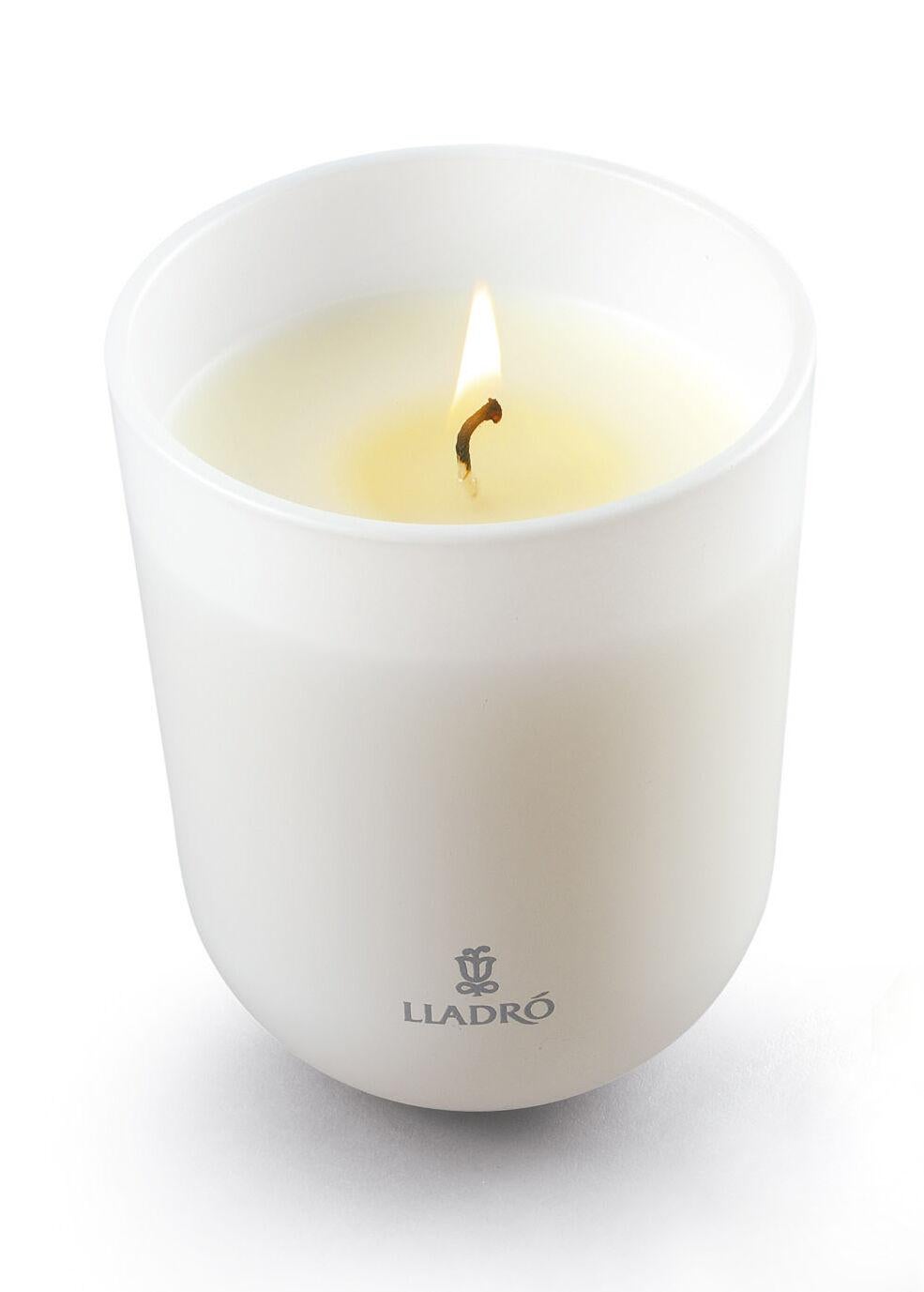 Modern in Stock in Los Angeles, Echoes of Nature Candle Unbreakable Spirit Scent