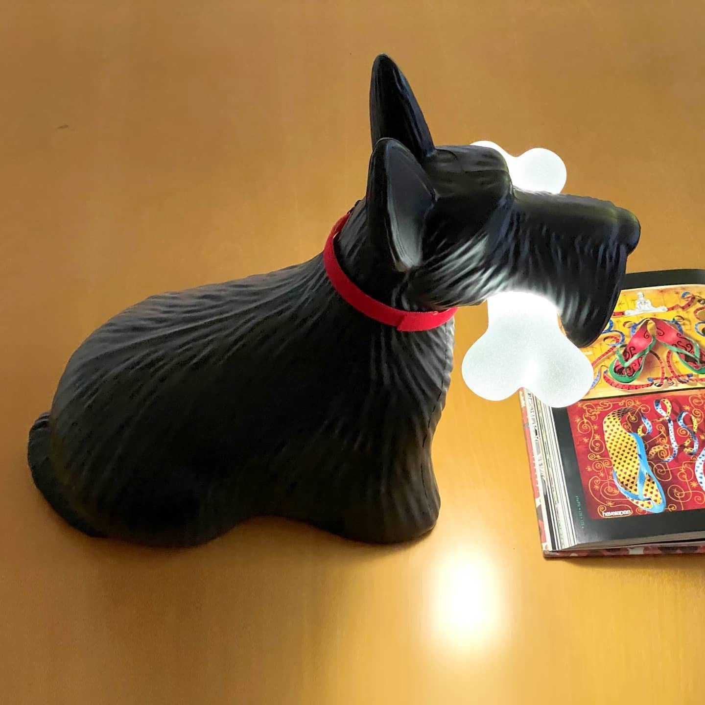 Italian In Stock in Los Angeles, Set of 2 Scottie Dogs LED Lamp, by Stefano Giovannoni