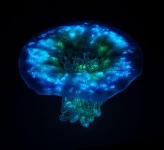 "In the Deep Blue" Fluorescent Jellyfish, Murano Glass, Handmade in Italy, 2024