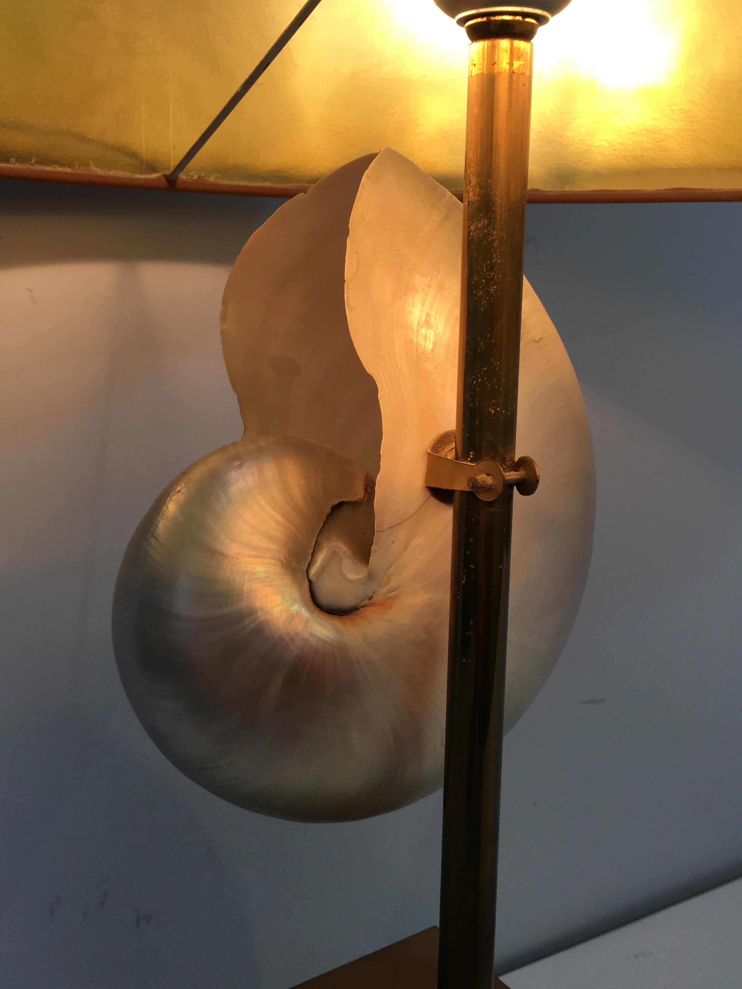 In the Style of Maison Jansen, Nautilus Shell Mounted into a Lamp 10