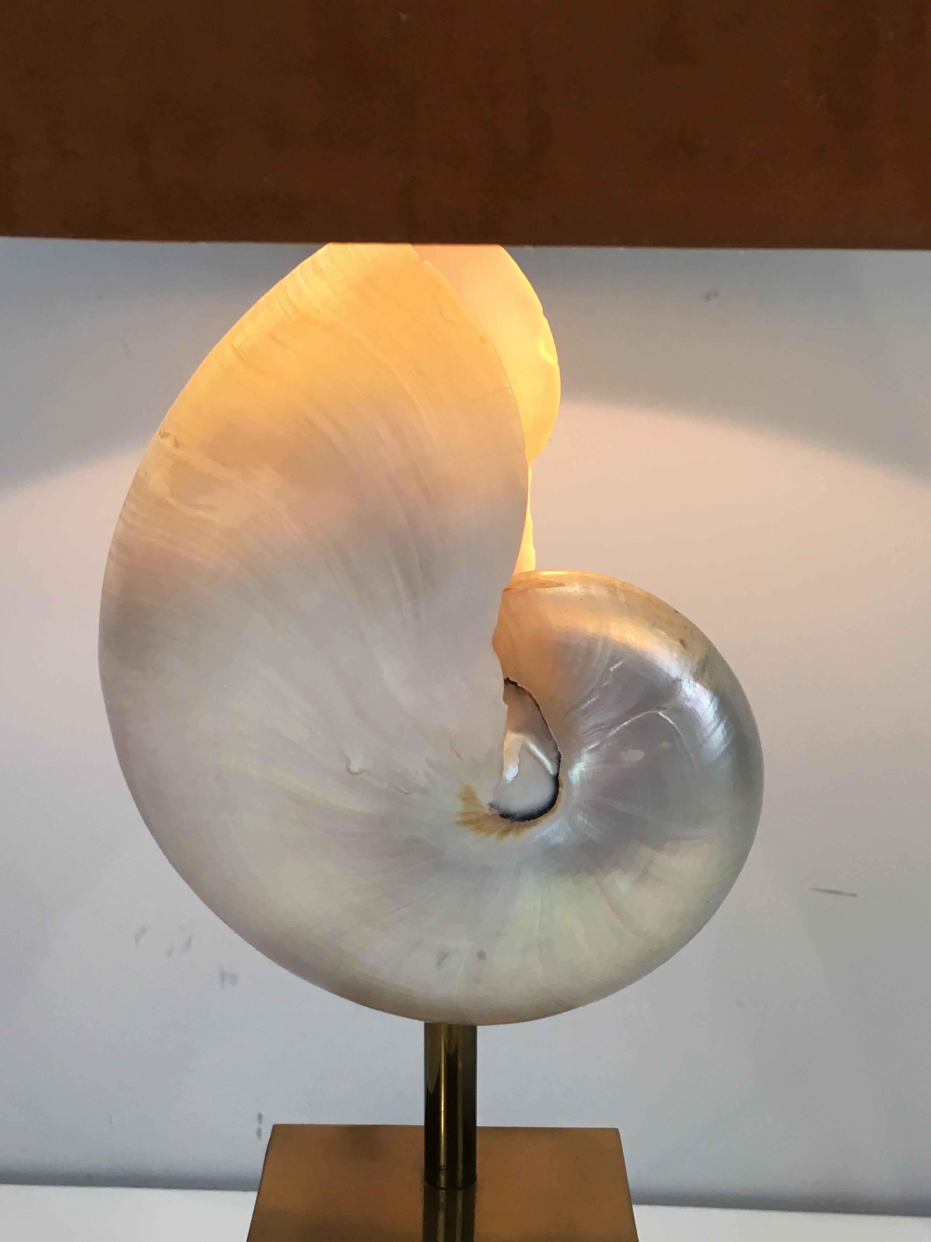 In the Style of Maison Jansen, Nautilus Shell Mounted into a Lamp (Mitte des 20. Jahrhunderts)