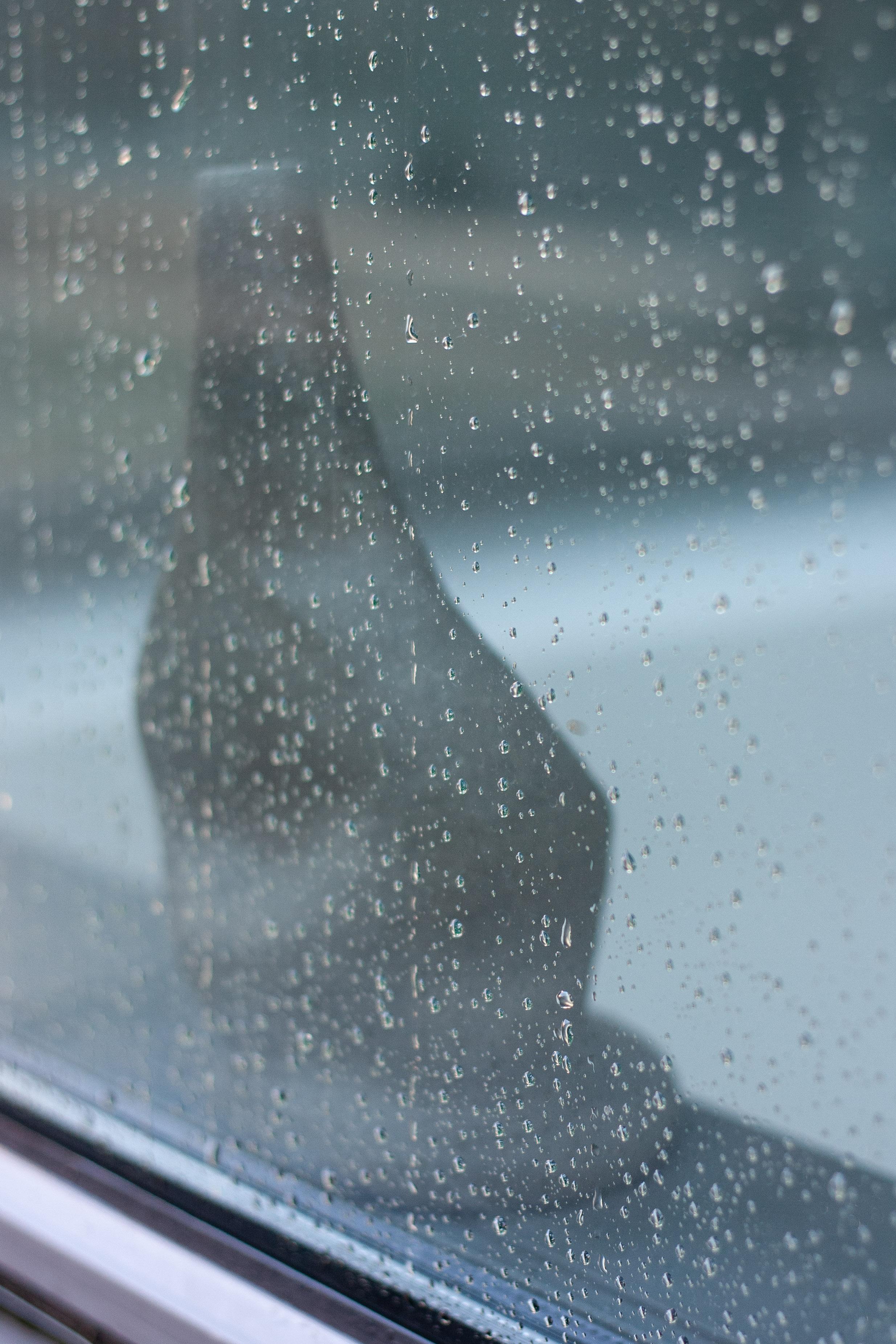 Dekorative Keramikvase In The Windowsill III von Lillian Tørlen (Moderne) im Angebot