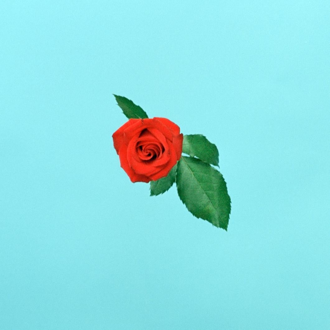 a pattern – Ina Jang, Abstract, Minimalistic, Surrealism, Red Rose, Flowers 1