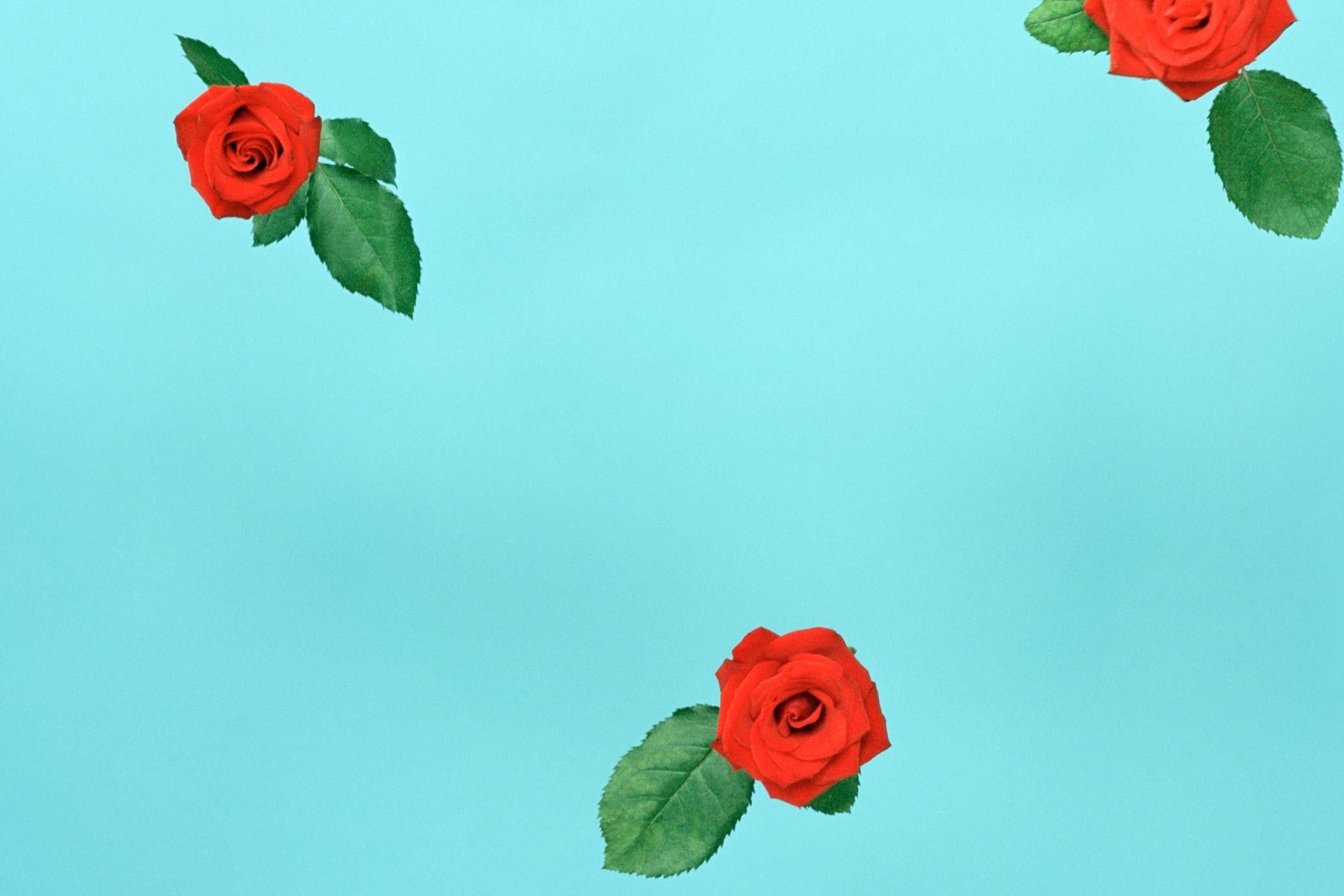 a pattern – Ina Jang, Abstract, Minimalistic, Surrealism, Red Rose, Flowers 2