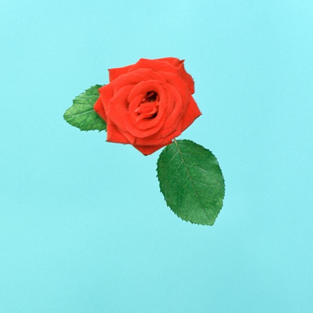 a pattern – Ina Jang, Abstract, Minimalistic, Surrealism, Red Rose, Flowers 4