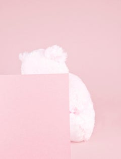 pnkbr – Ina Jang, Abstract, Minimalistic, Object, Art, Still Life, Teddy, Pink