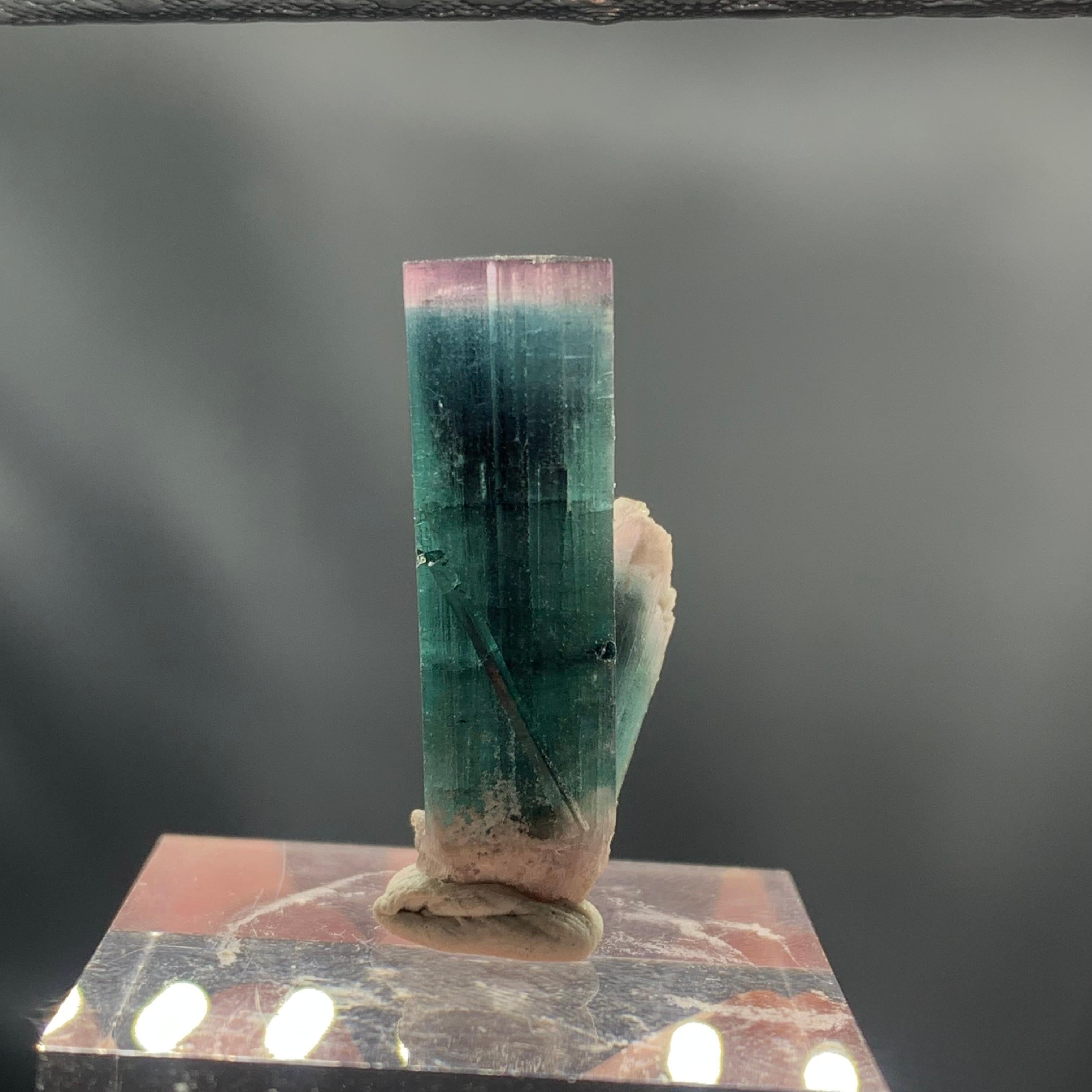 Incredible 20.30 Carat Bi Color Tourmaline Specimen From Kunar Afghanistan 
WEIGHT: 20.30 grams
DIMENSION: 2.8 x 1.2 x 0.9 Cm
ORIGIN : Kunar Afghanistan
TREATMENT: None
Tourmaline is an extremely popular gemstone; the name Tourmaline is derived