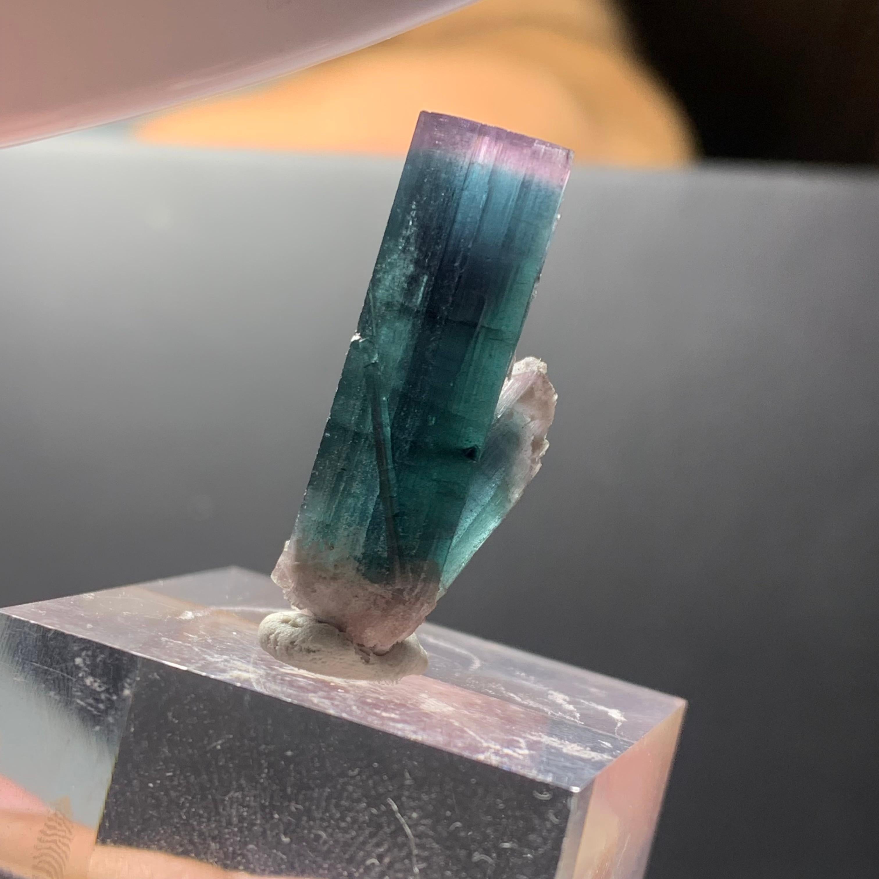 18th Century and Earlier Incredible 20.30 Carat Bi Color Tourmaline Specimen from Kunar Afghanistan For Sale