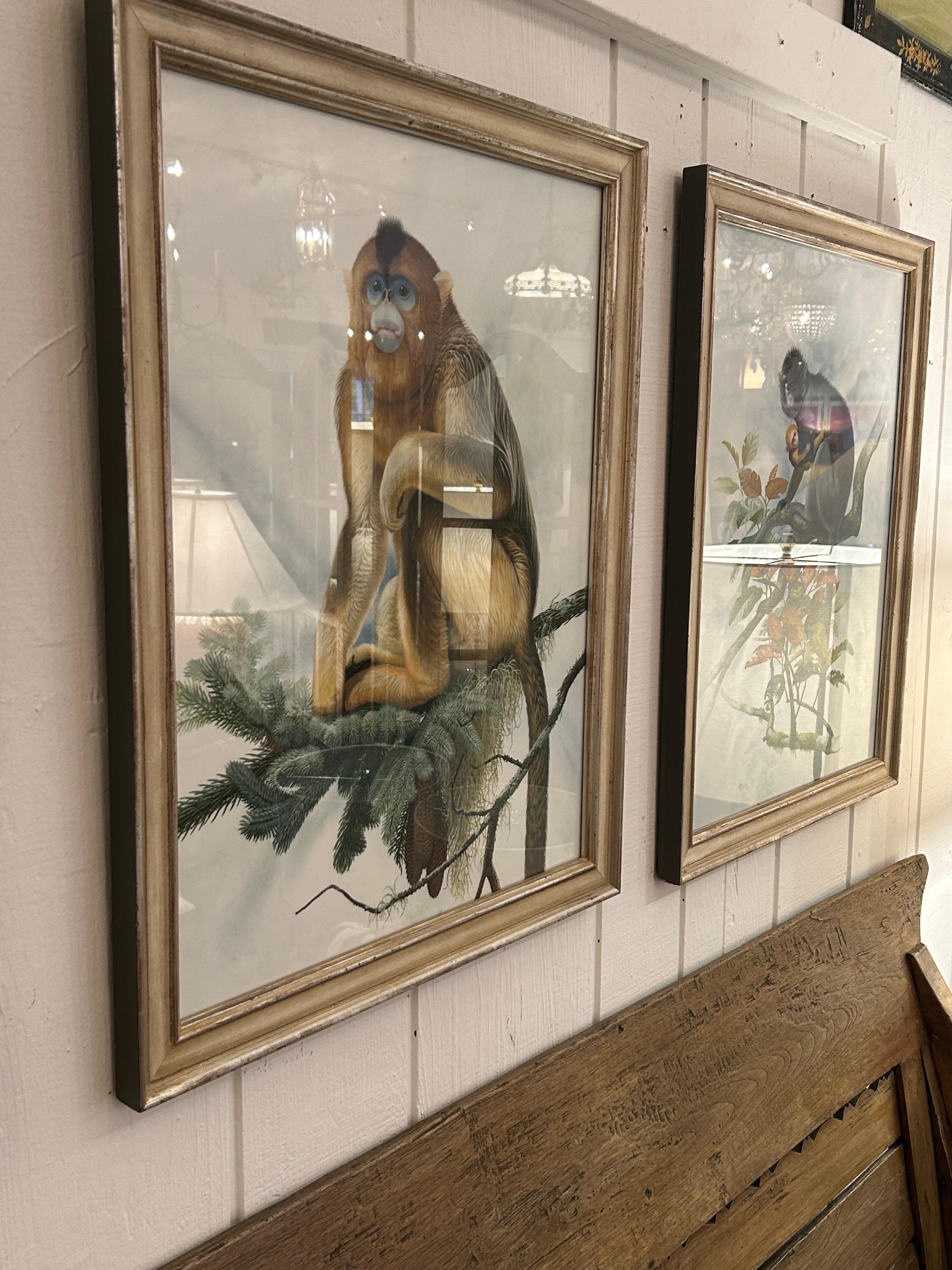 Unglaubliche Sammlung von 3 akribisch detaillierten Aquarellen von Affen im Angebot 5