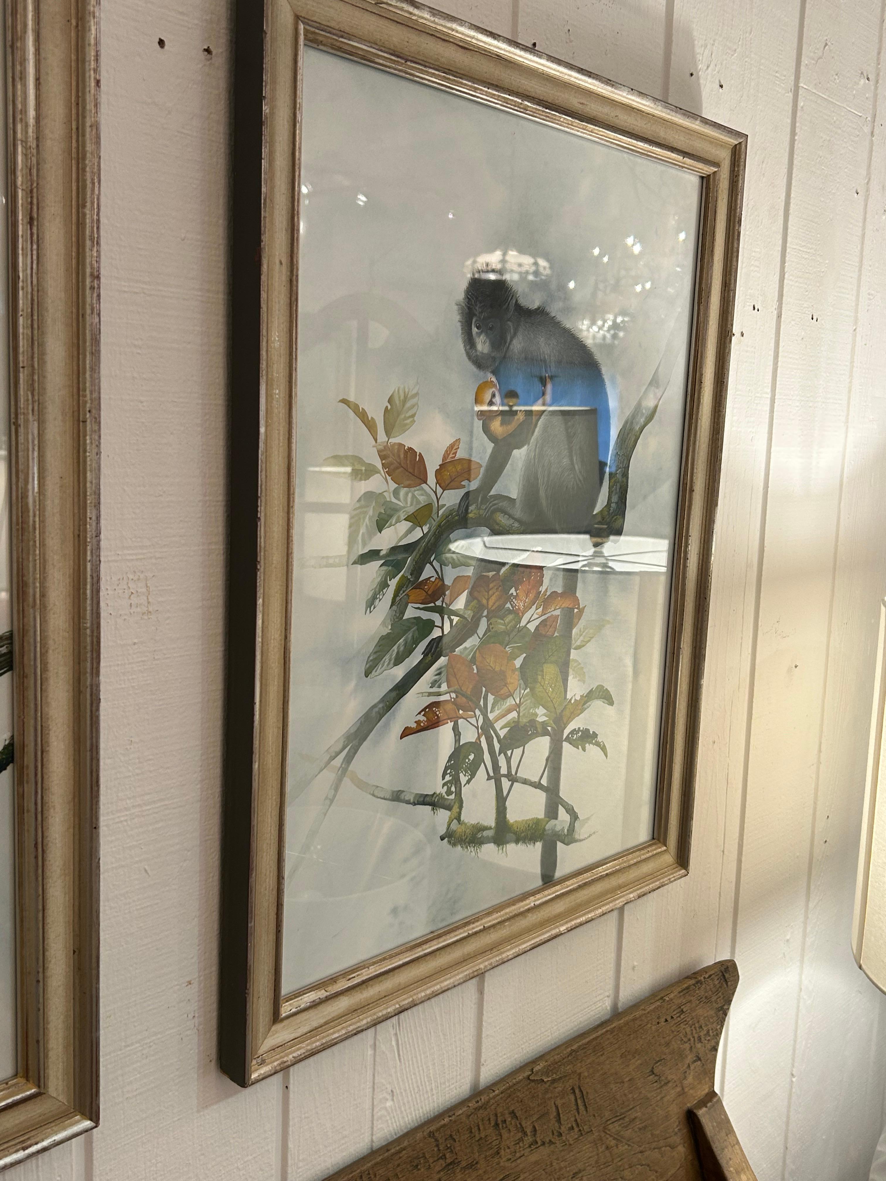Unglaubliche Sammlung von 3 akribisch detaillierten Aquarellen von Affen im Angebot 7