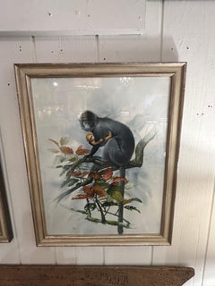 Incredible Collection of 3 Meticulously Detailed Watercolors of Monkeys