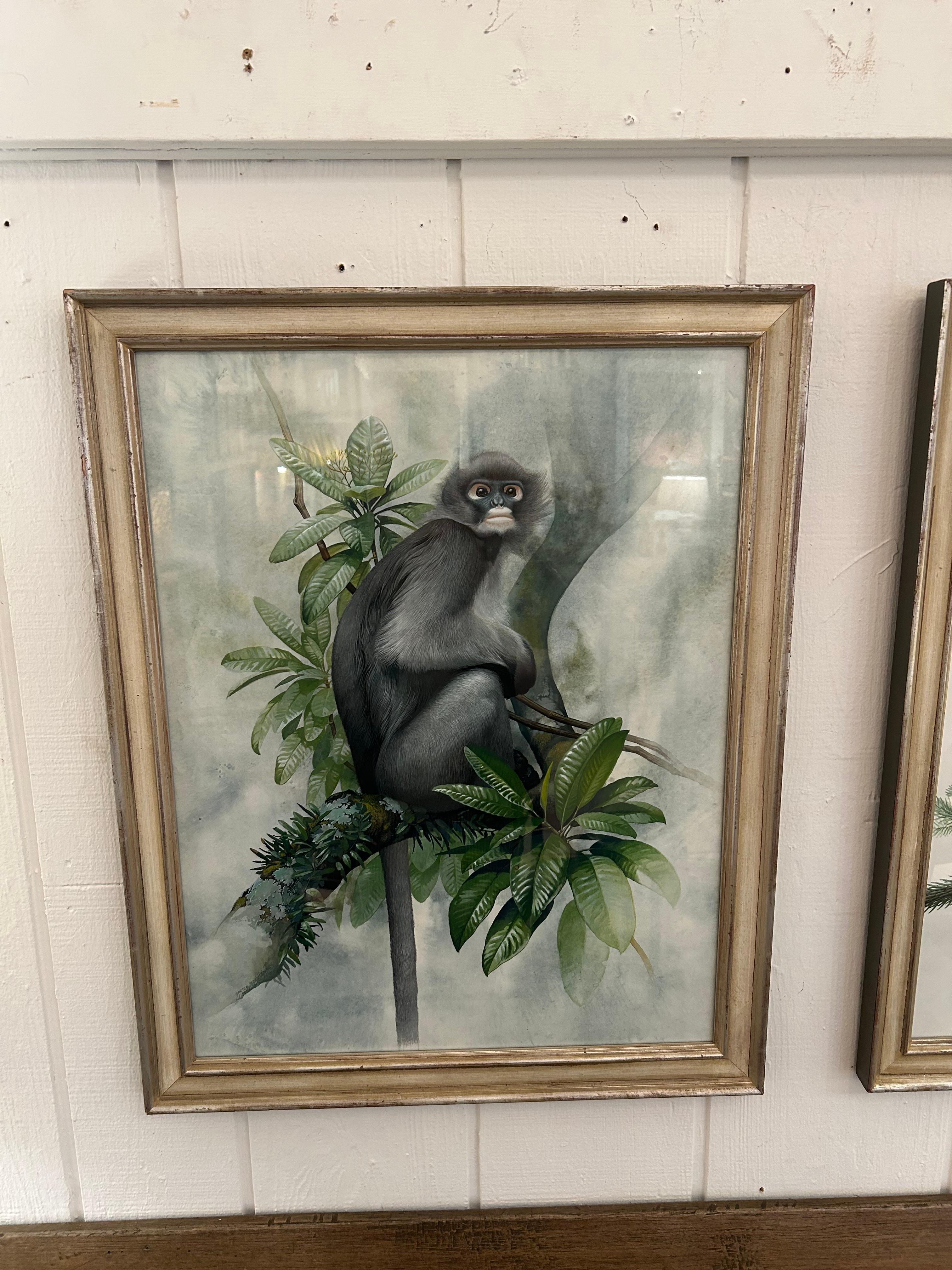 Unglaubliche Sammlung von 3 akribisch detaillierten Aquarellen von Affen im Zustand „Gut“ im Angebot in Hopewell, NJ