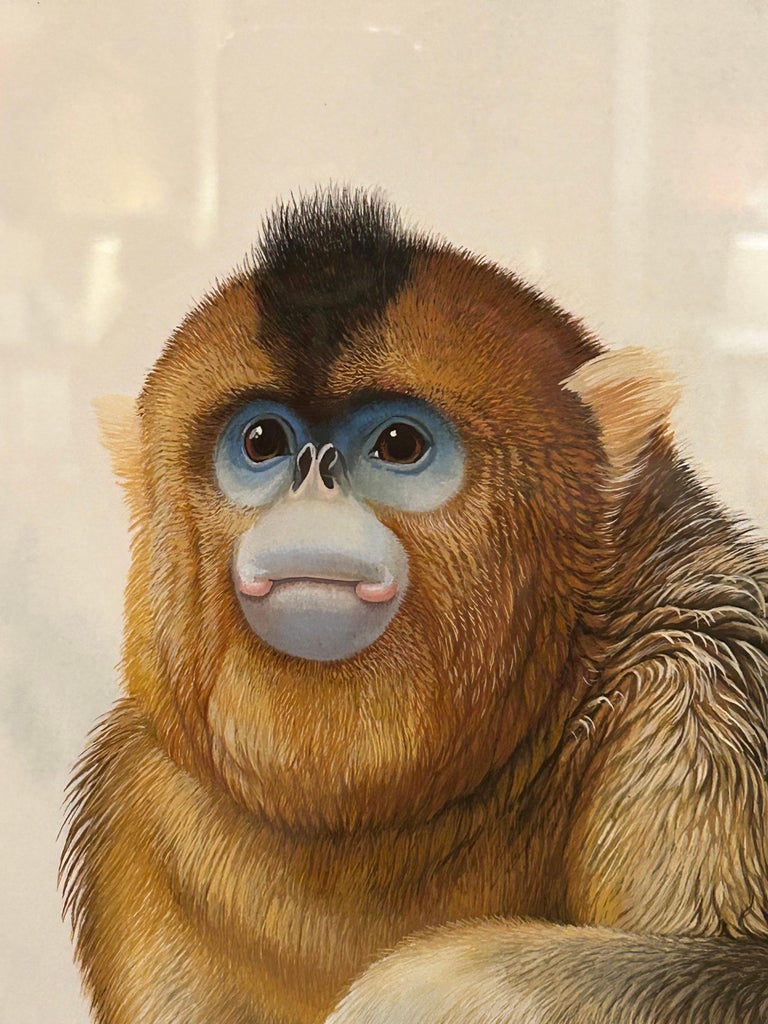 Increíble Colección de 3 Acuarelas de Monos Meticulosamente Detalladas en  venta en 1stDibs España, image size:768x1024