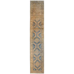 Incroyable tapis de couloir persan NW du début du 20e siècle