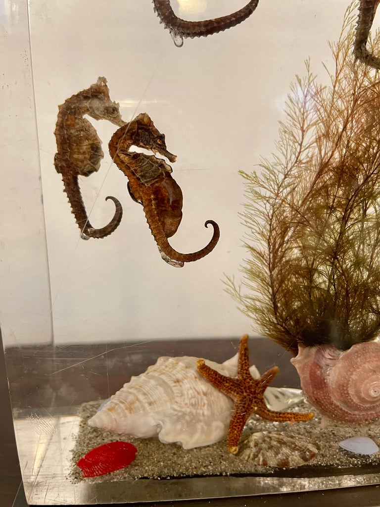 Incredible Large Vintage Resin Aquarium Table Lamp For Sale at 1stDibs