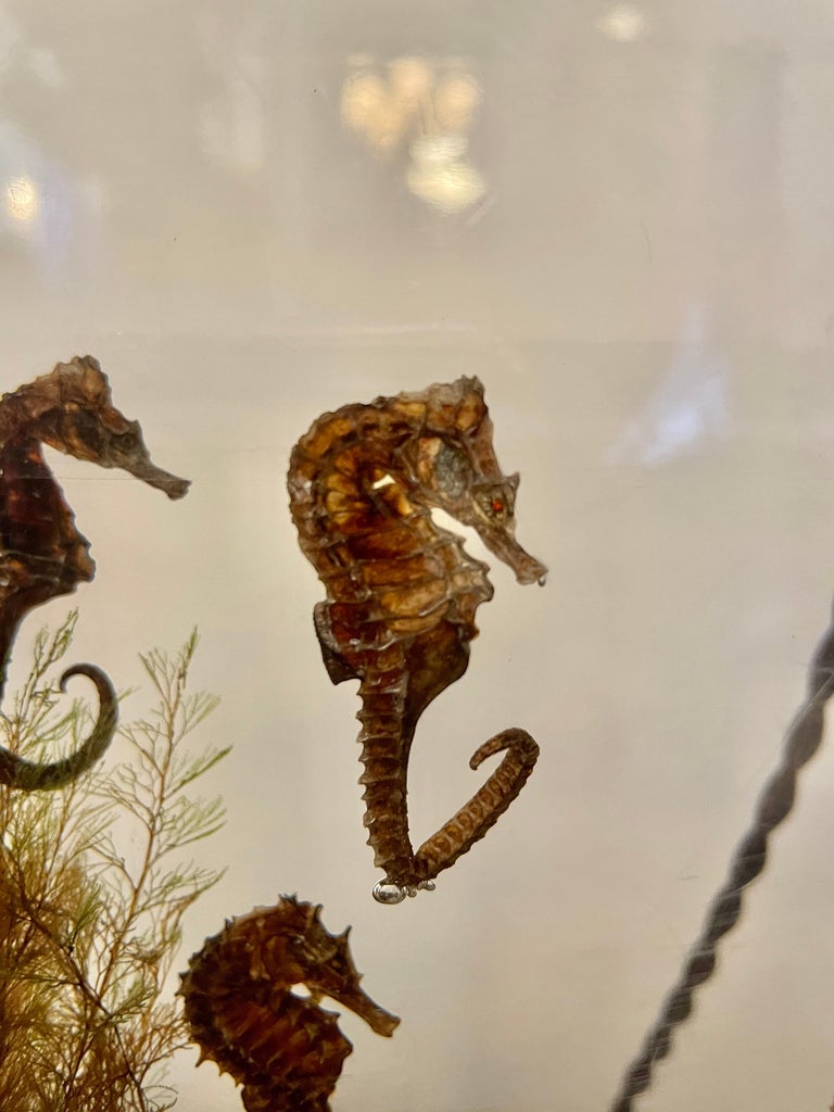 Incredible Large Vintage Resin Aquarium Table Lamp For Sale at 1stDibs