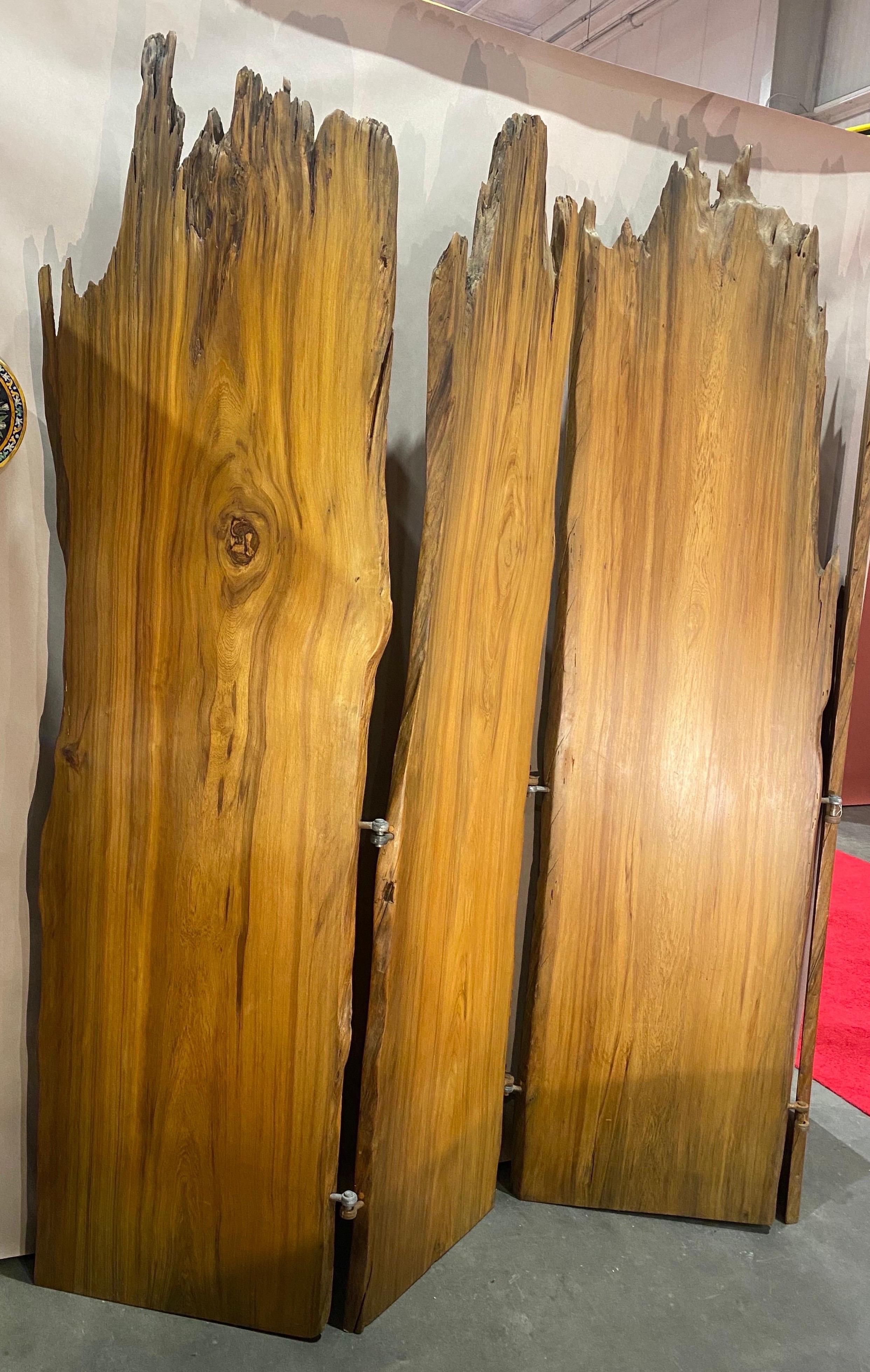Incredible Live Edge 4 Panel Screen, Possibly by Nakashima or a Contemporary In Good Condition In Charleston, SC