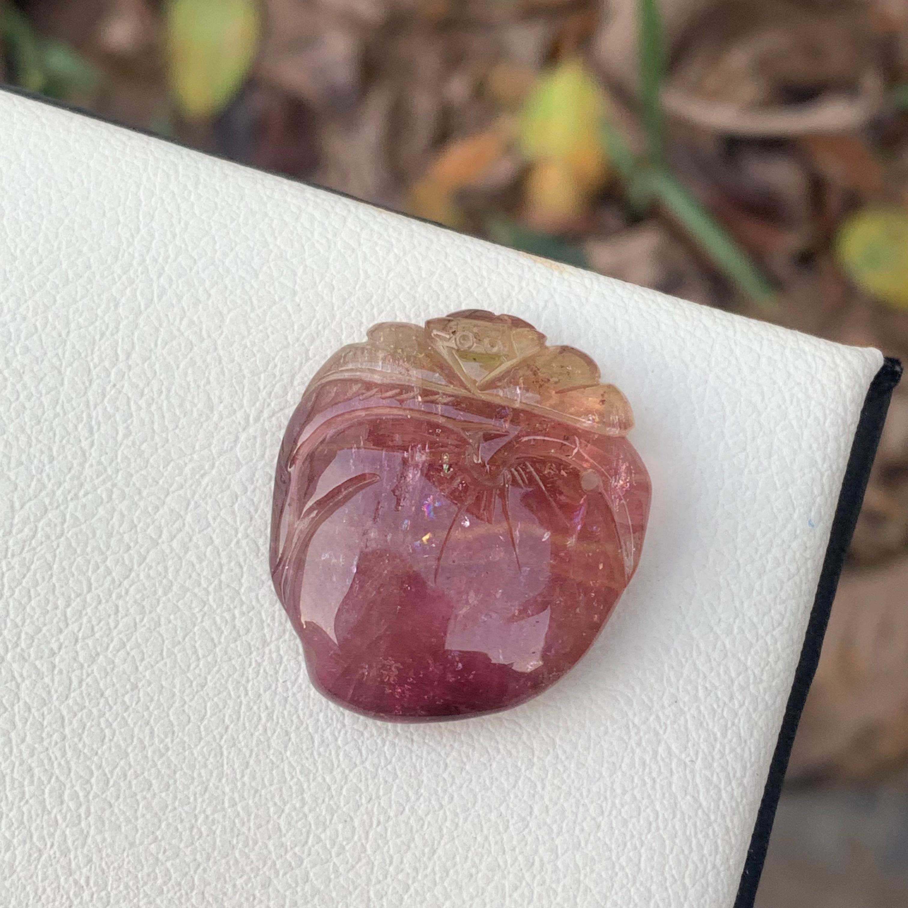 Incredible Loose Bi-Color Tourmaline Drilled Craving From Africa 
WEIGHT: 31.00 Carat
DIMENSIONS: 2.5 x 2.2 x 0.6 Cm
ORIGIN: Madagascar, Africa
Color : Pink and Green 
TREATMENT : None

Tourmaline is an extremely popular gemstone; the name
